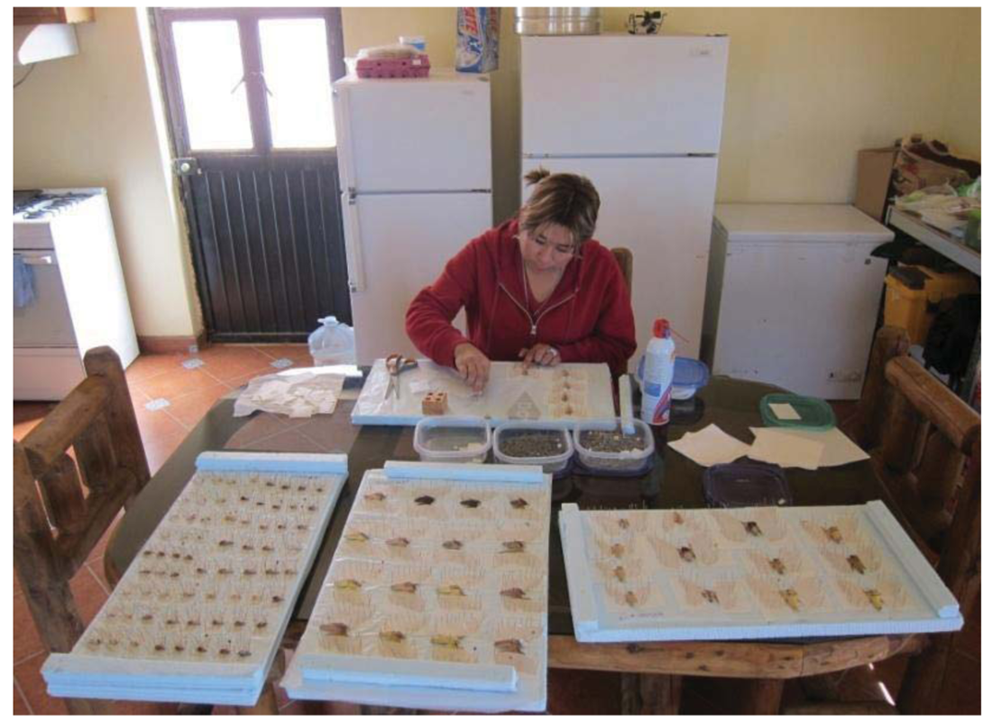 Insects 02 00564f4 1024