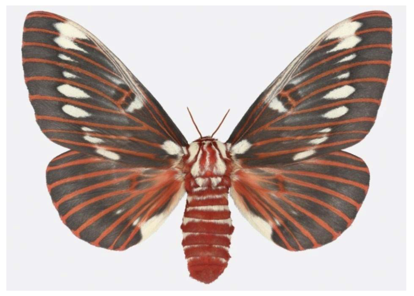 Insects 02 00564f5 1024