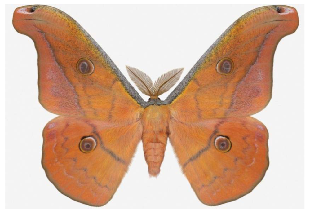 Insects 02 00564f6 1024