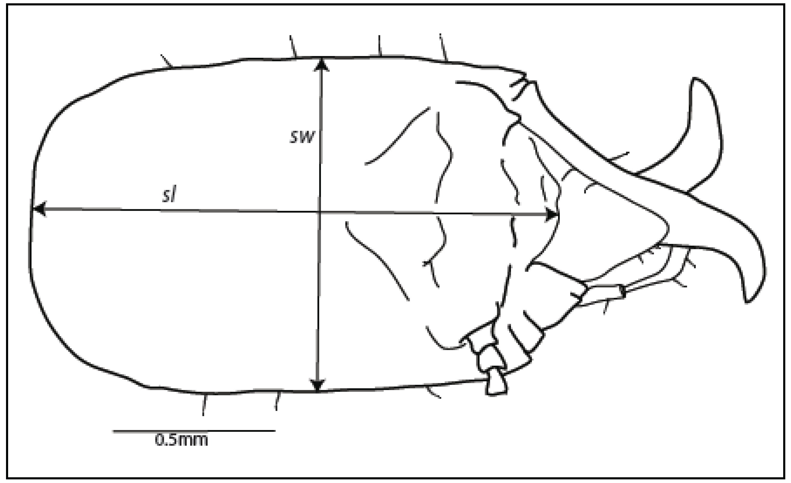 Insects 03 00062 g001 1024