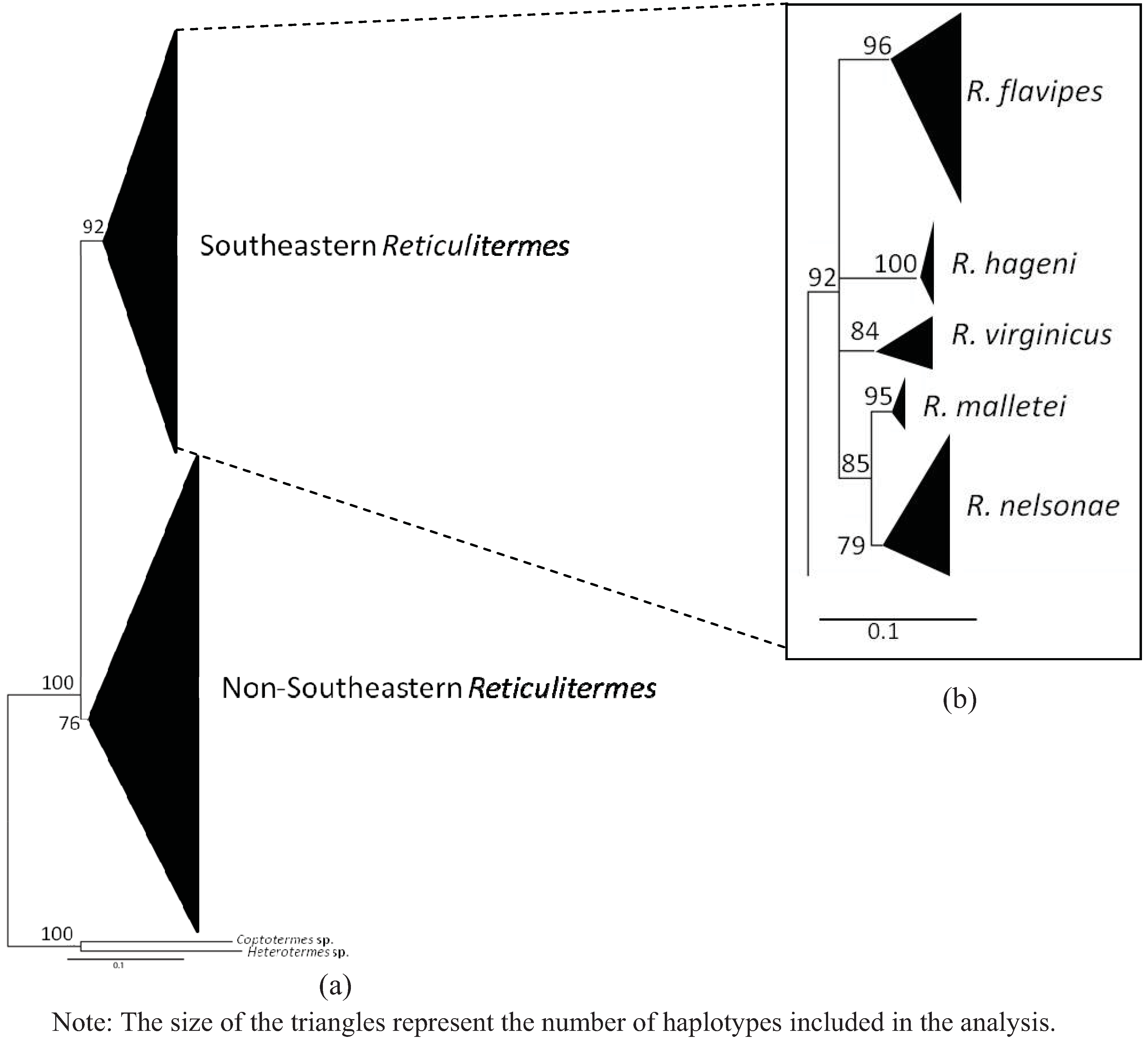 Insects 03 00062 g004 1024