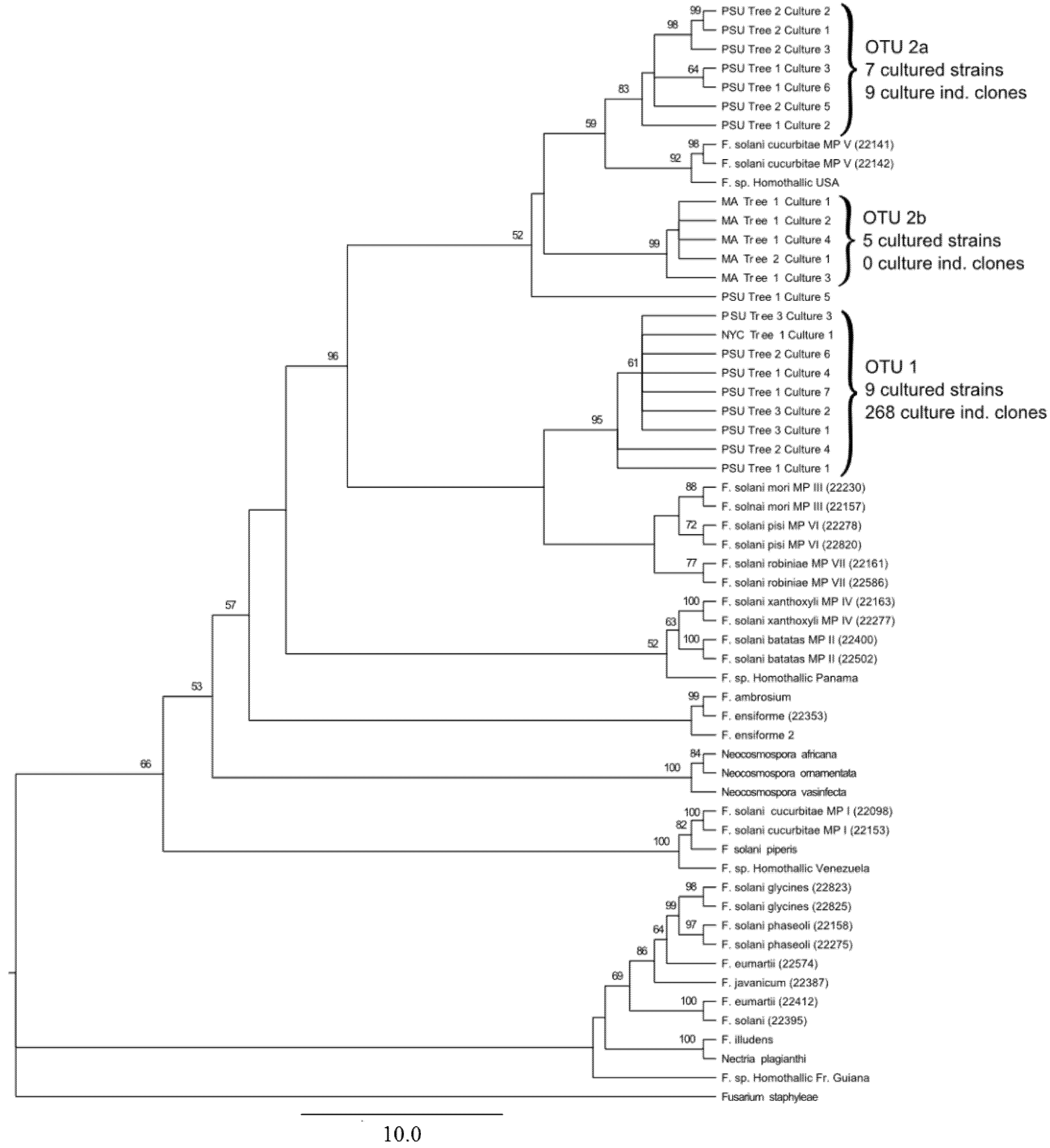 Insects 03 00141 g002