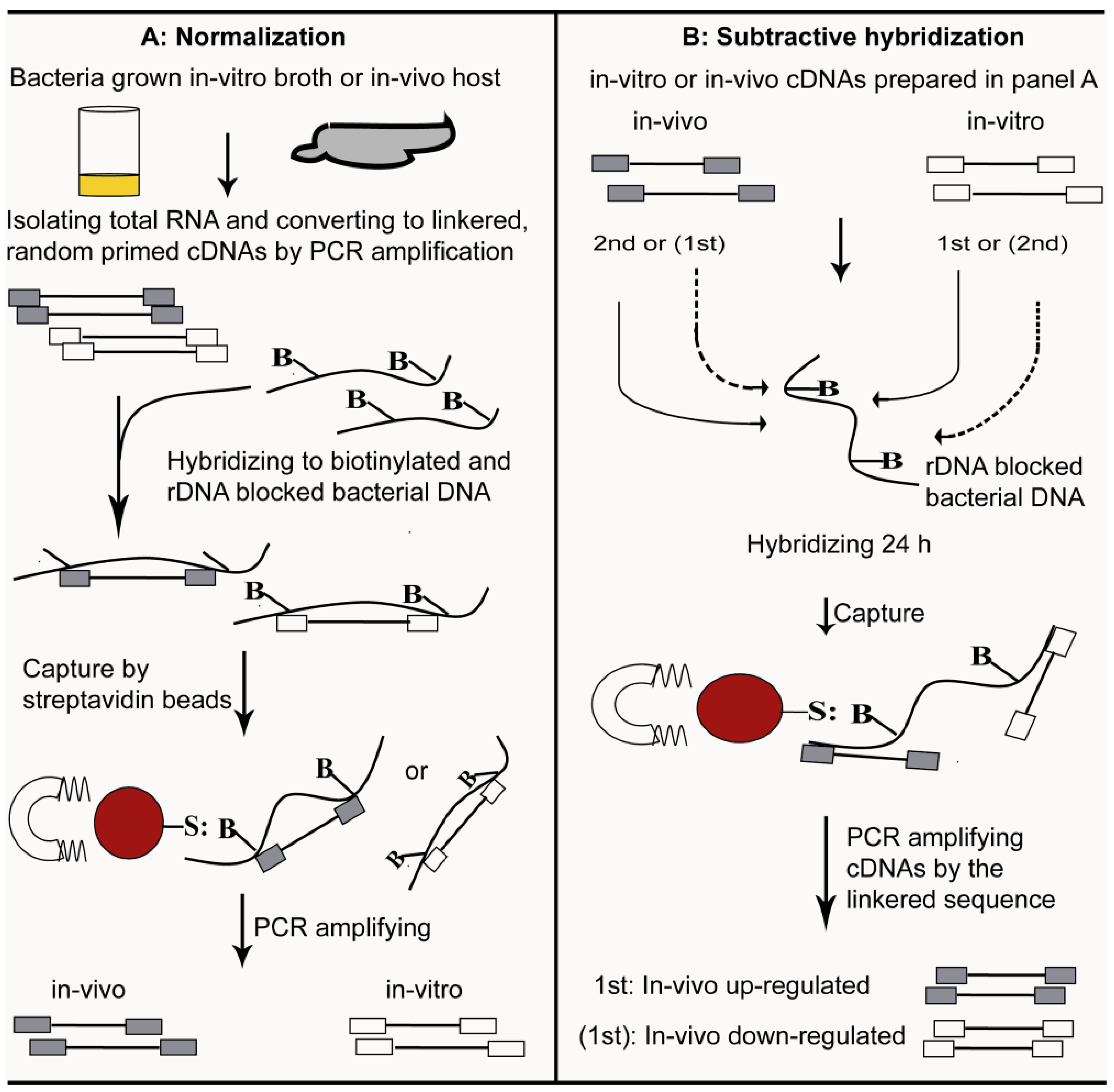 Insects 03 00295 g001