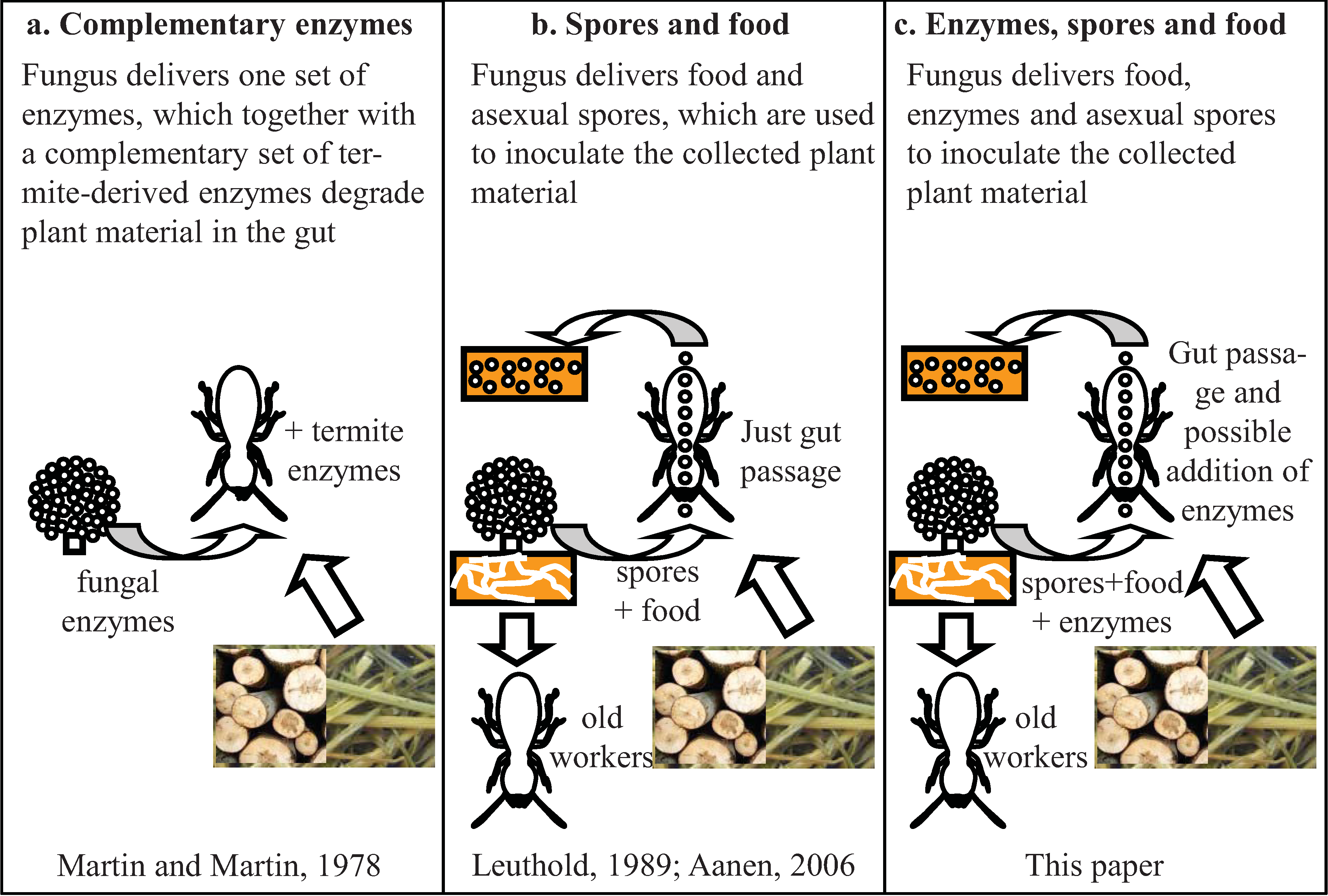 Insects 03 00307 g003 1024