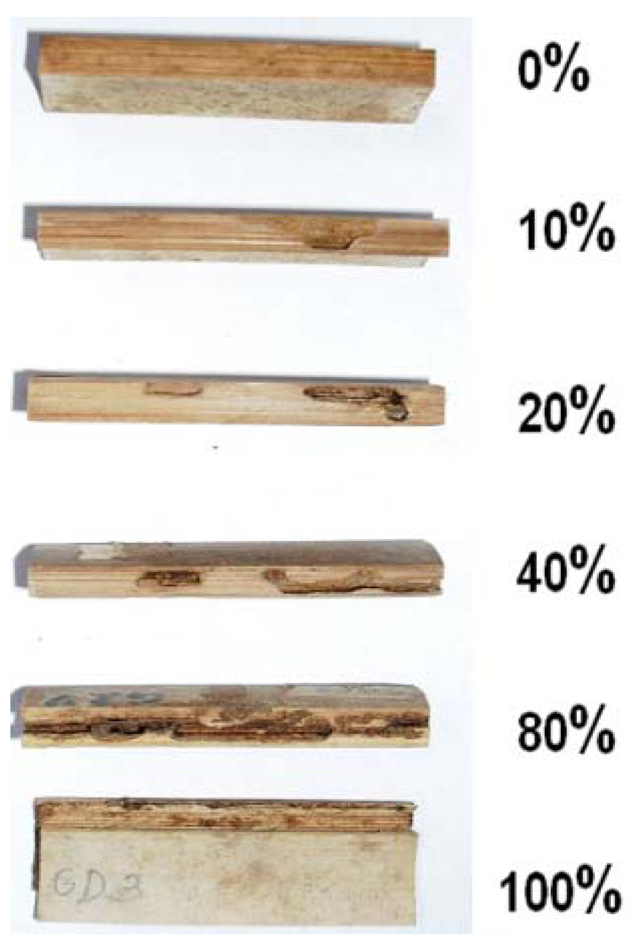 Insects 03 00390 g002 1024