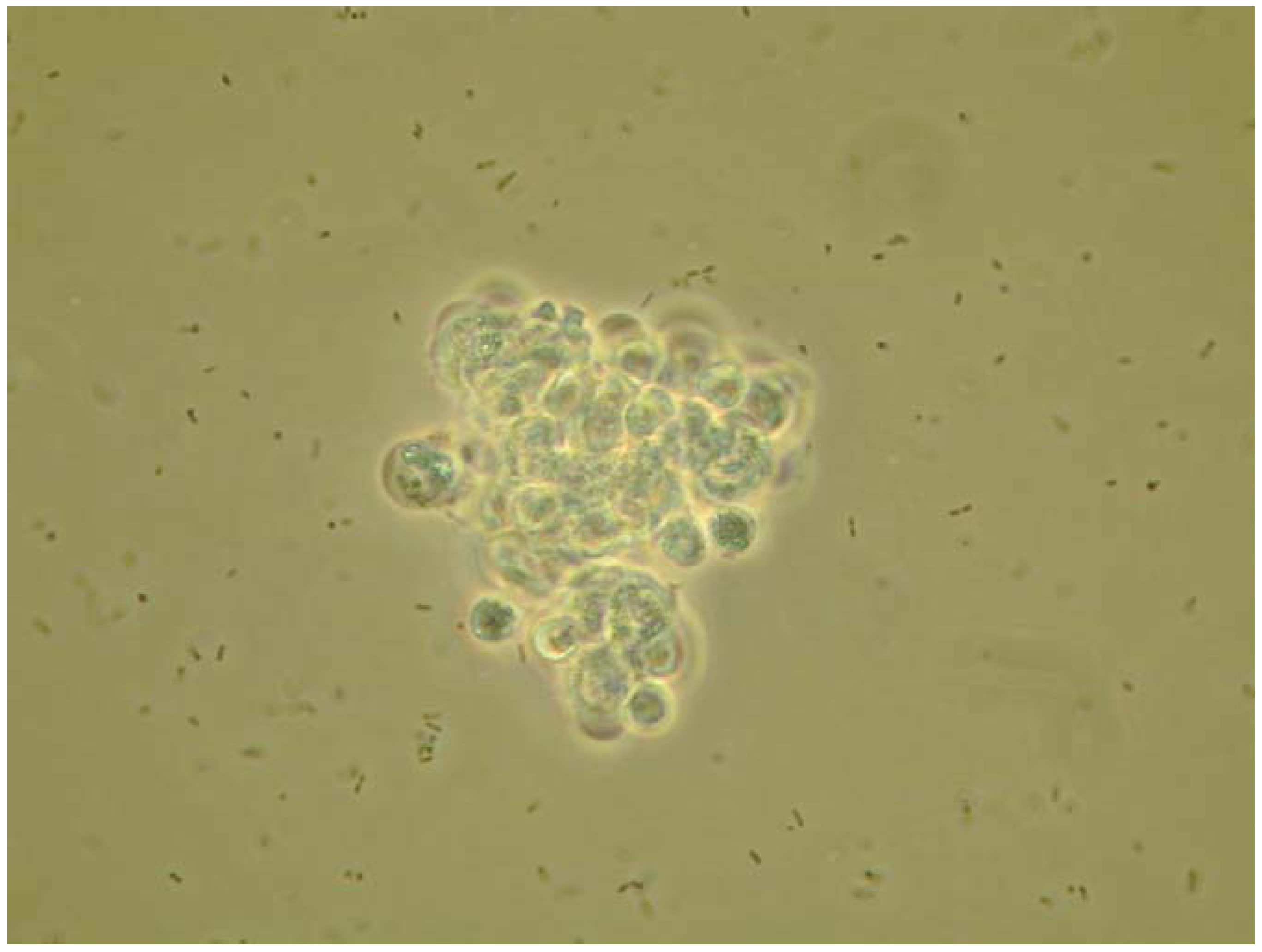 Insects 03 00492 g001 1024