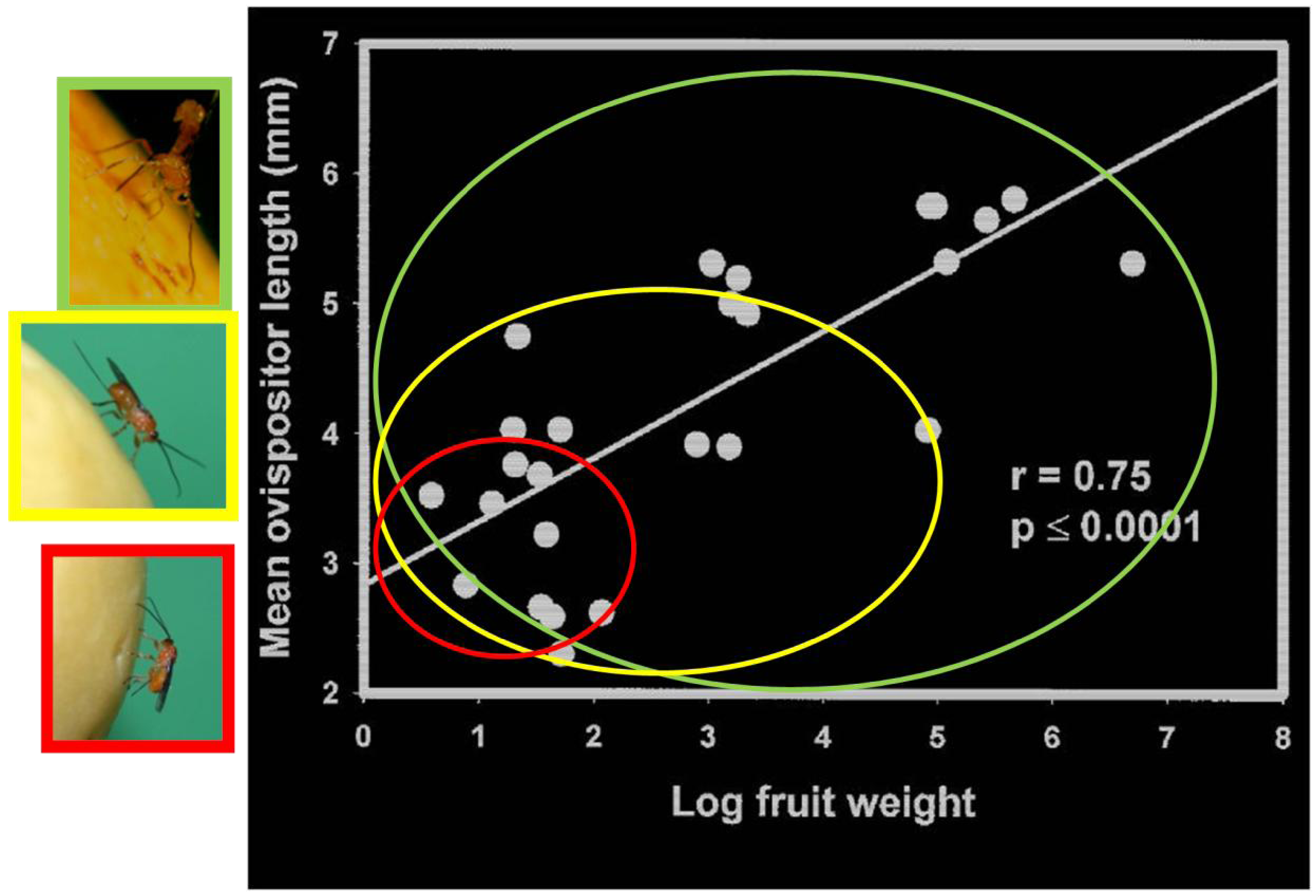 Insects 03 00668 g002