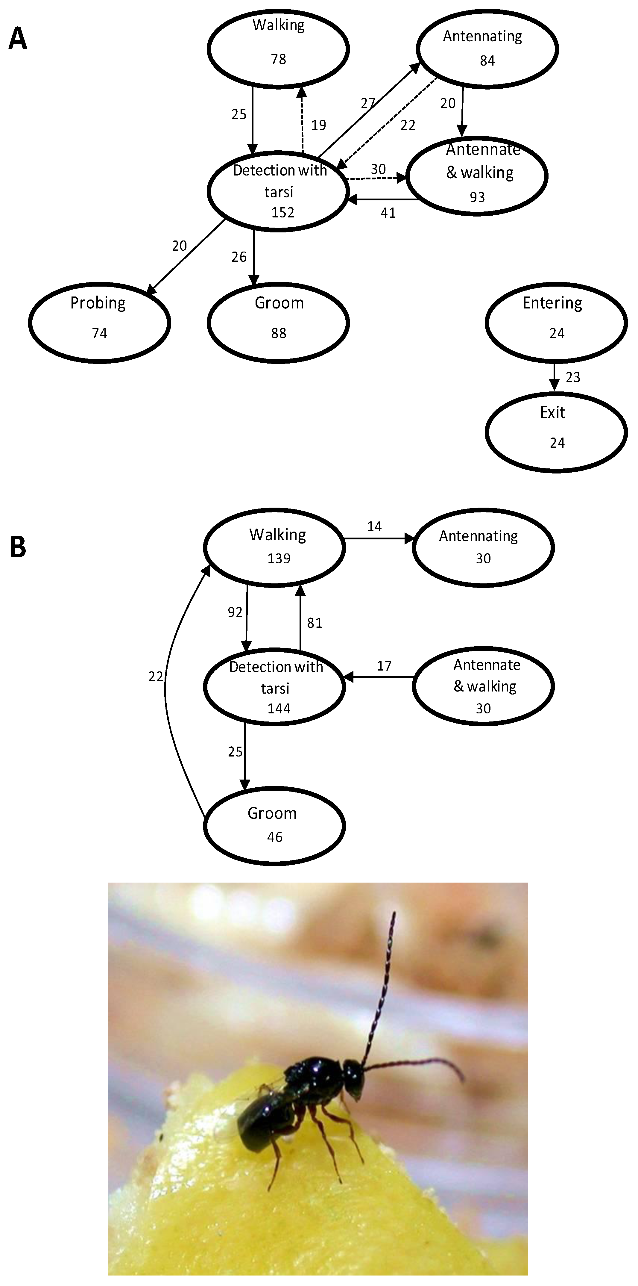 Insects 03 00668 g003