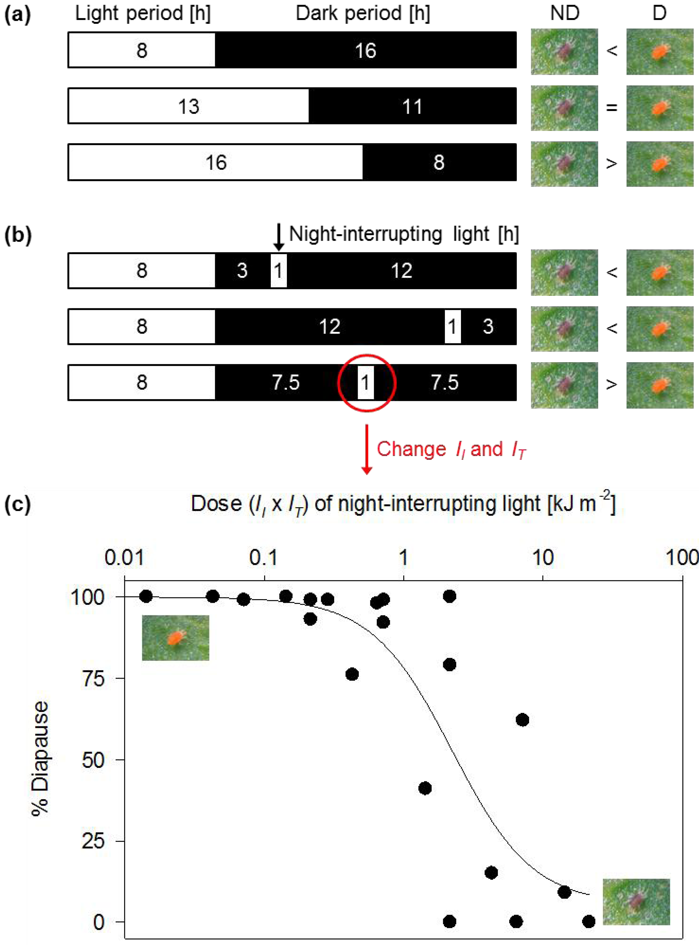 Insects 03 01126 g002