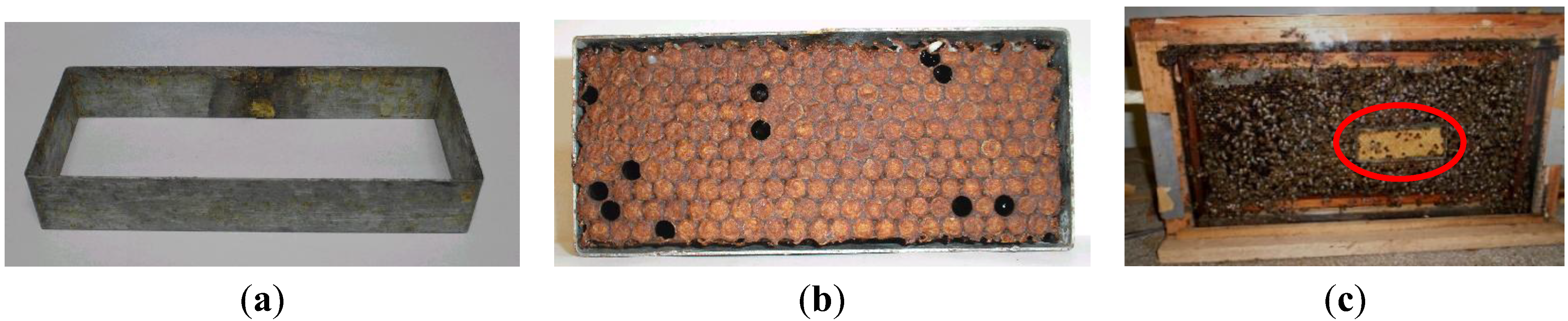 Insects 04 00521 g001