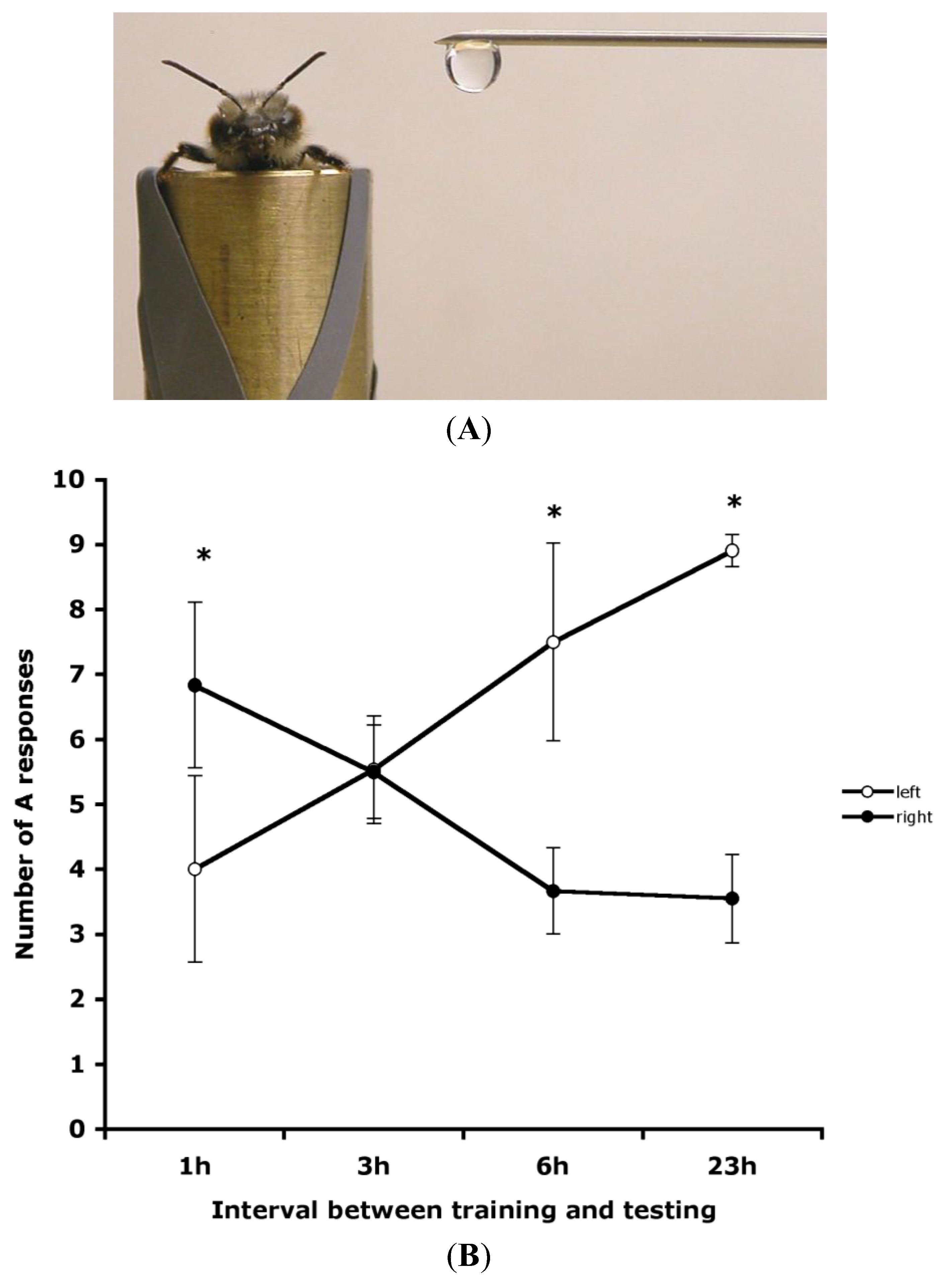 Insects 05 00120 g002 1024
