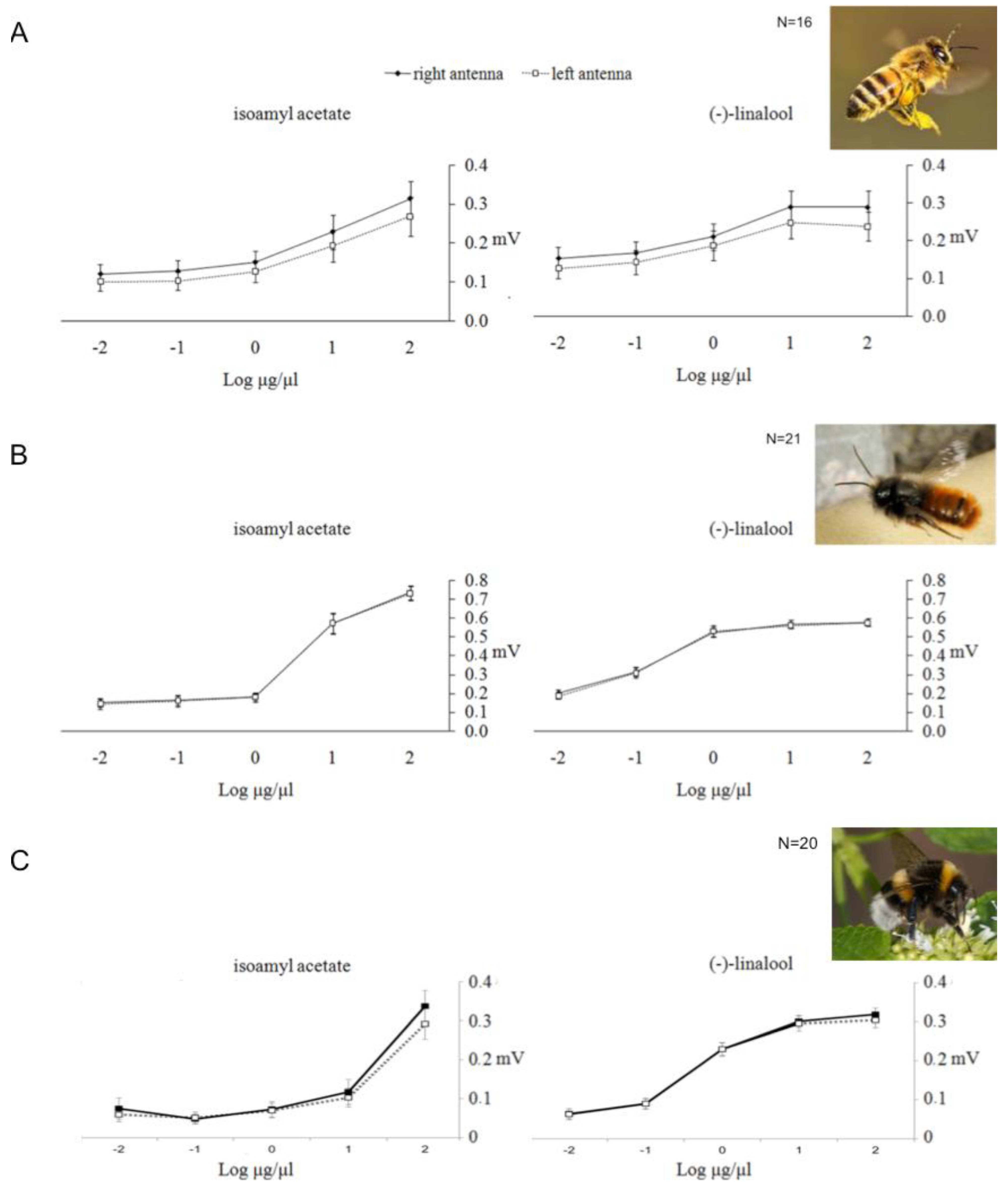 Insects 05 00120 g003 1024