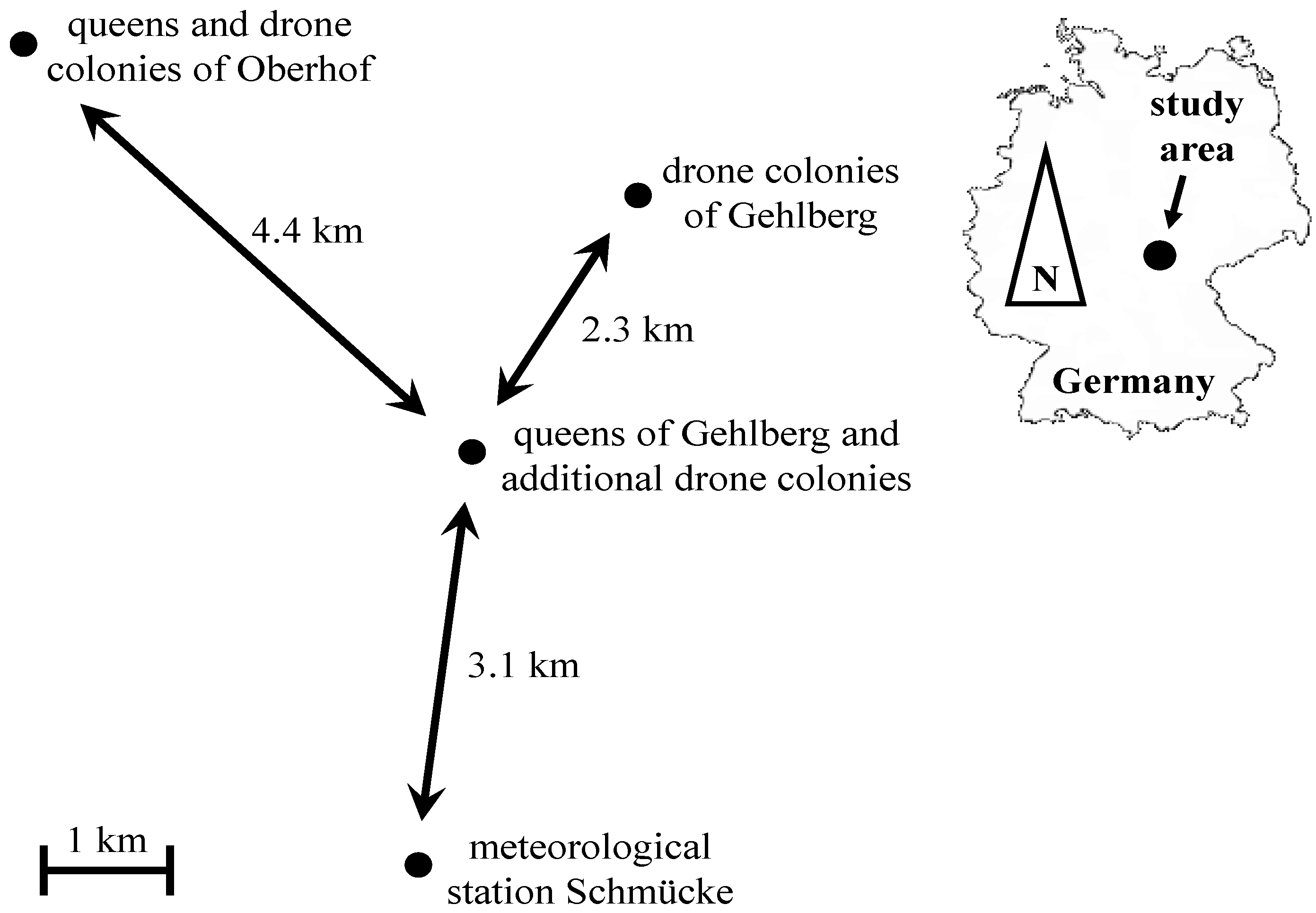 Insects 05 00513 g001