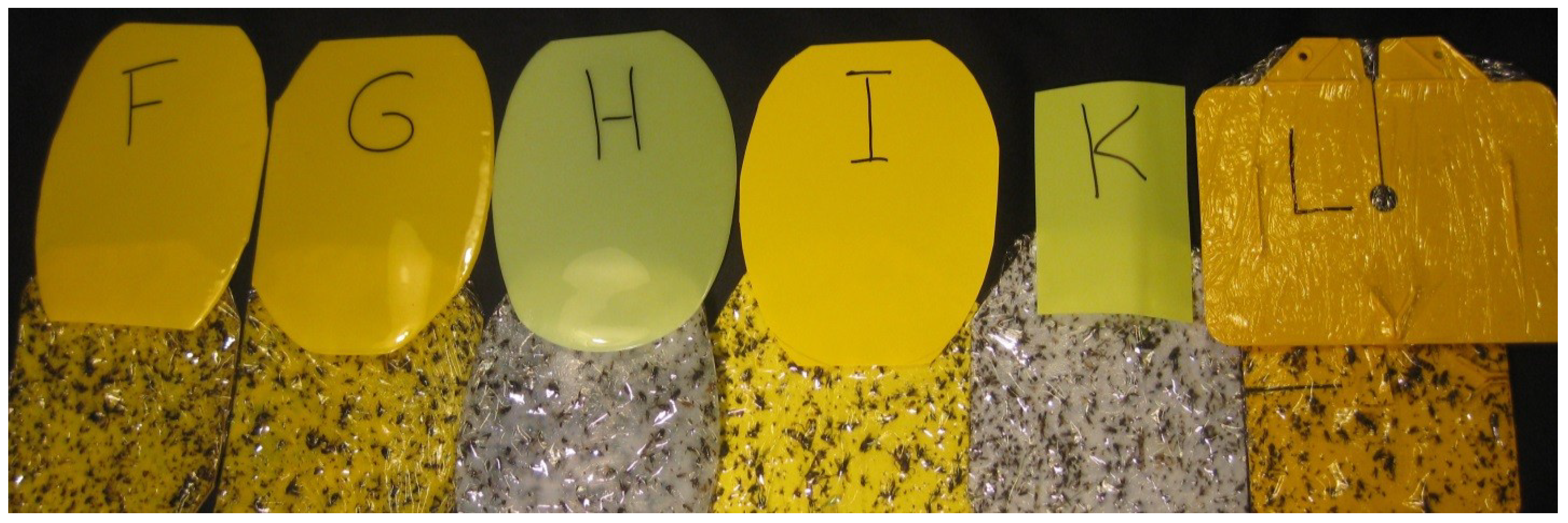 Insects 05 00564 g005 1024