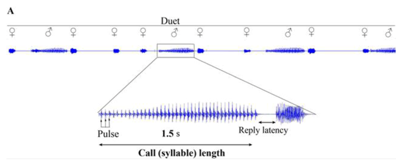 Insects 06 00743 i001