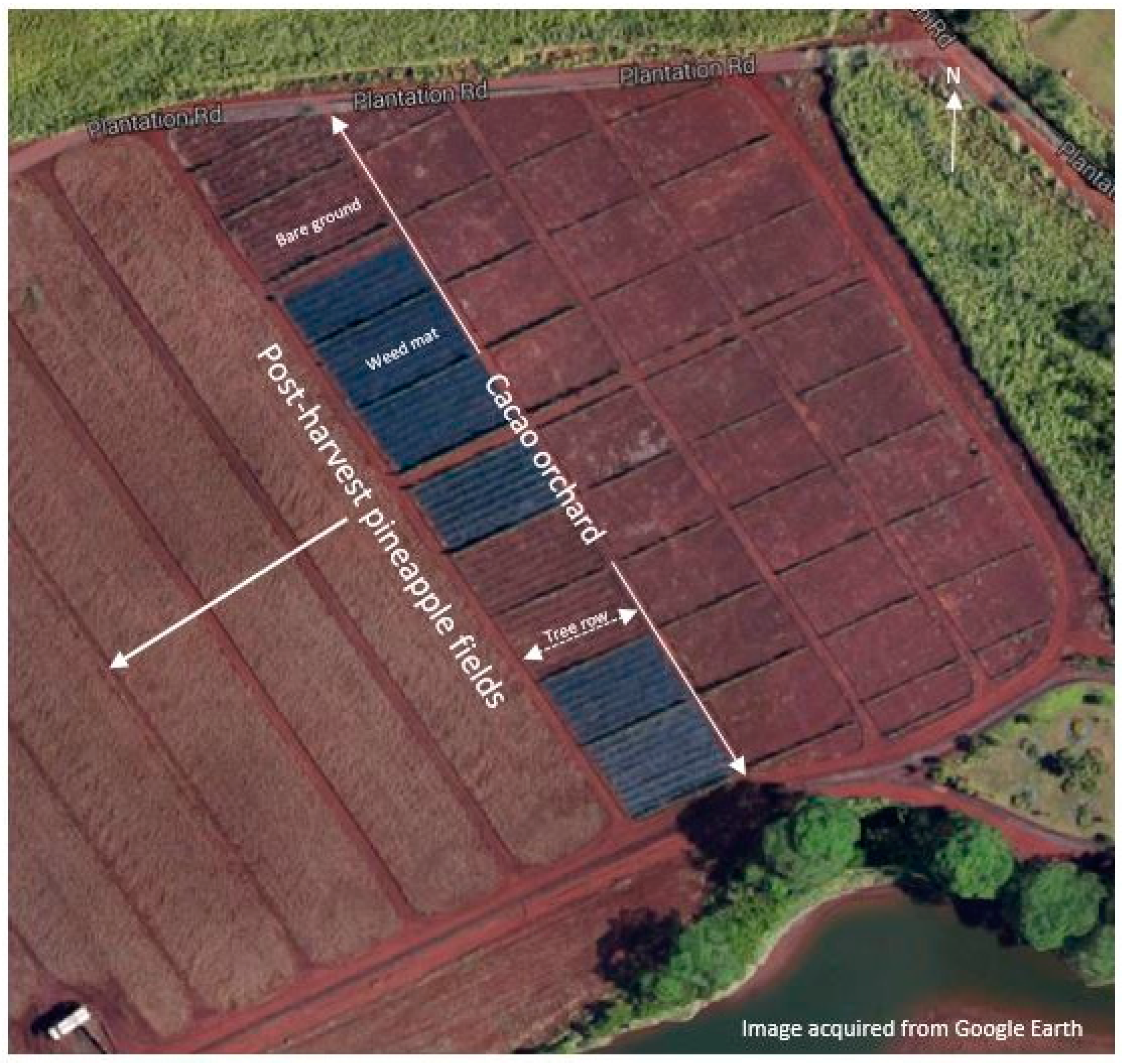 Insects 07 00028 g001