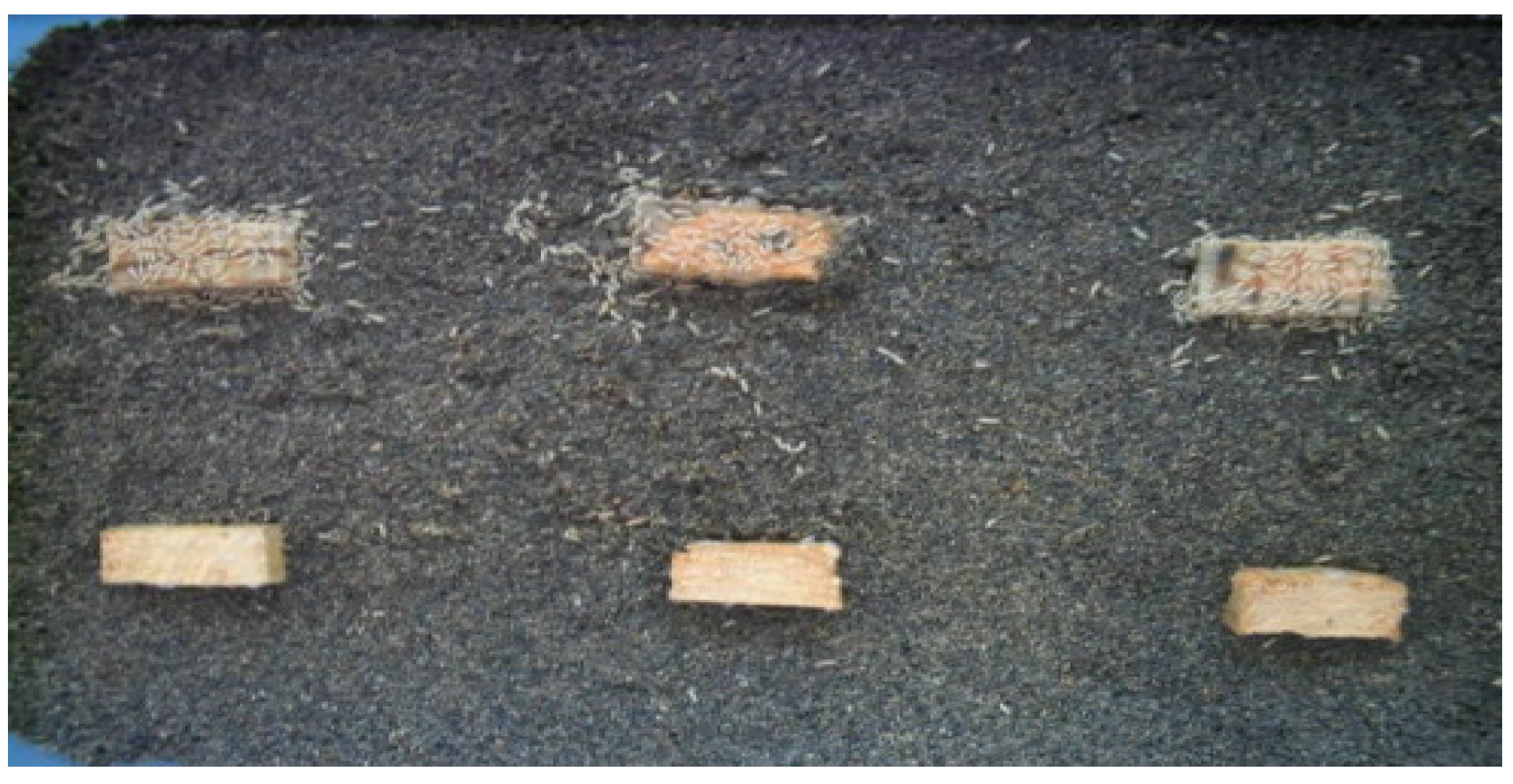 Insects 07 00041 g002 1024