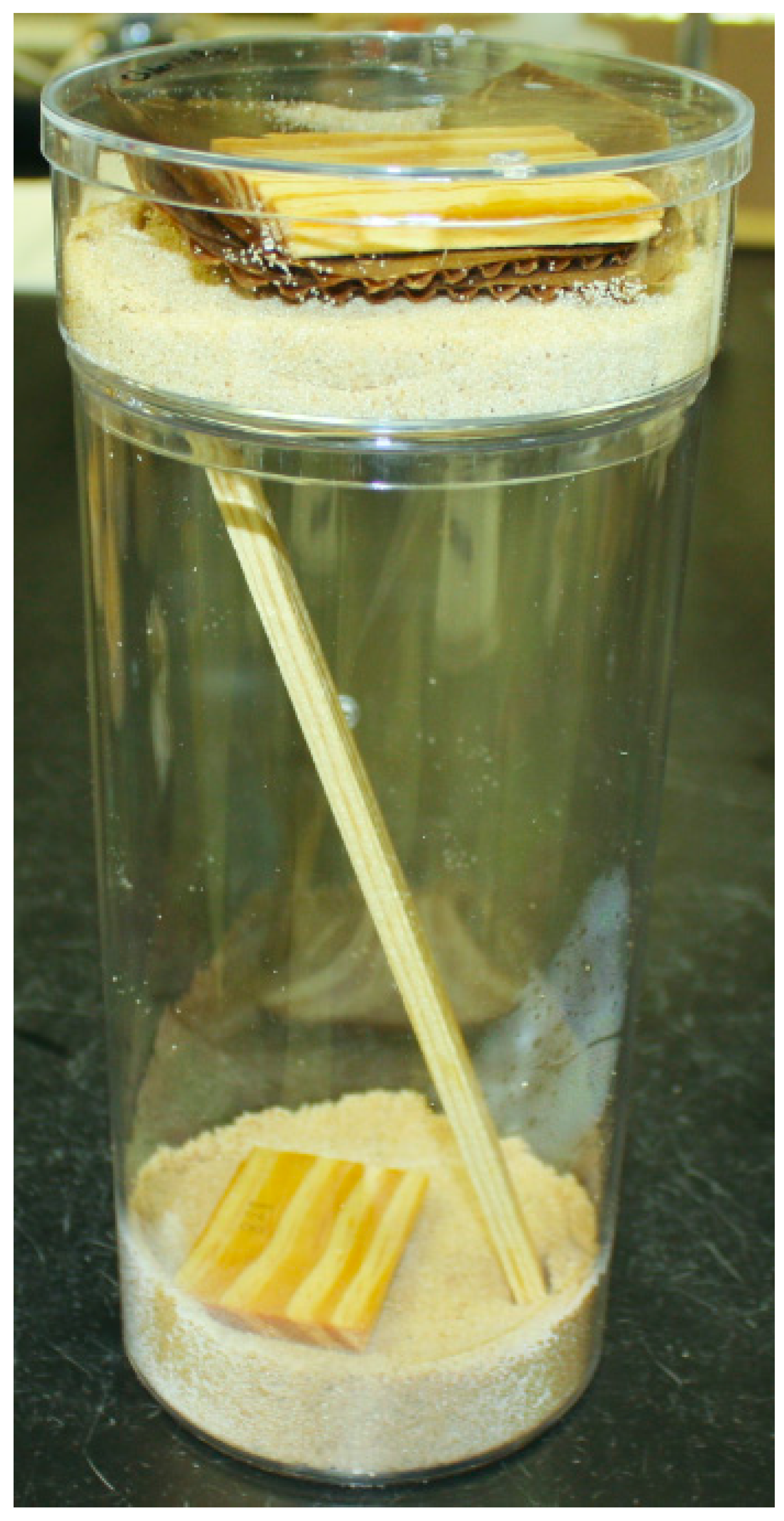 Insects 07 00043 g001 1024