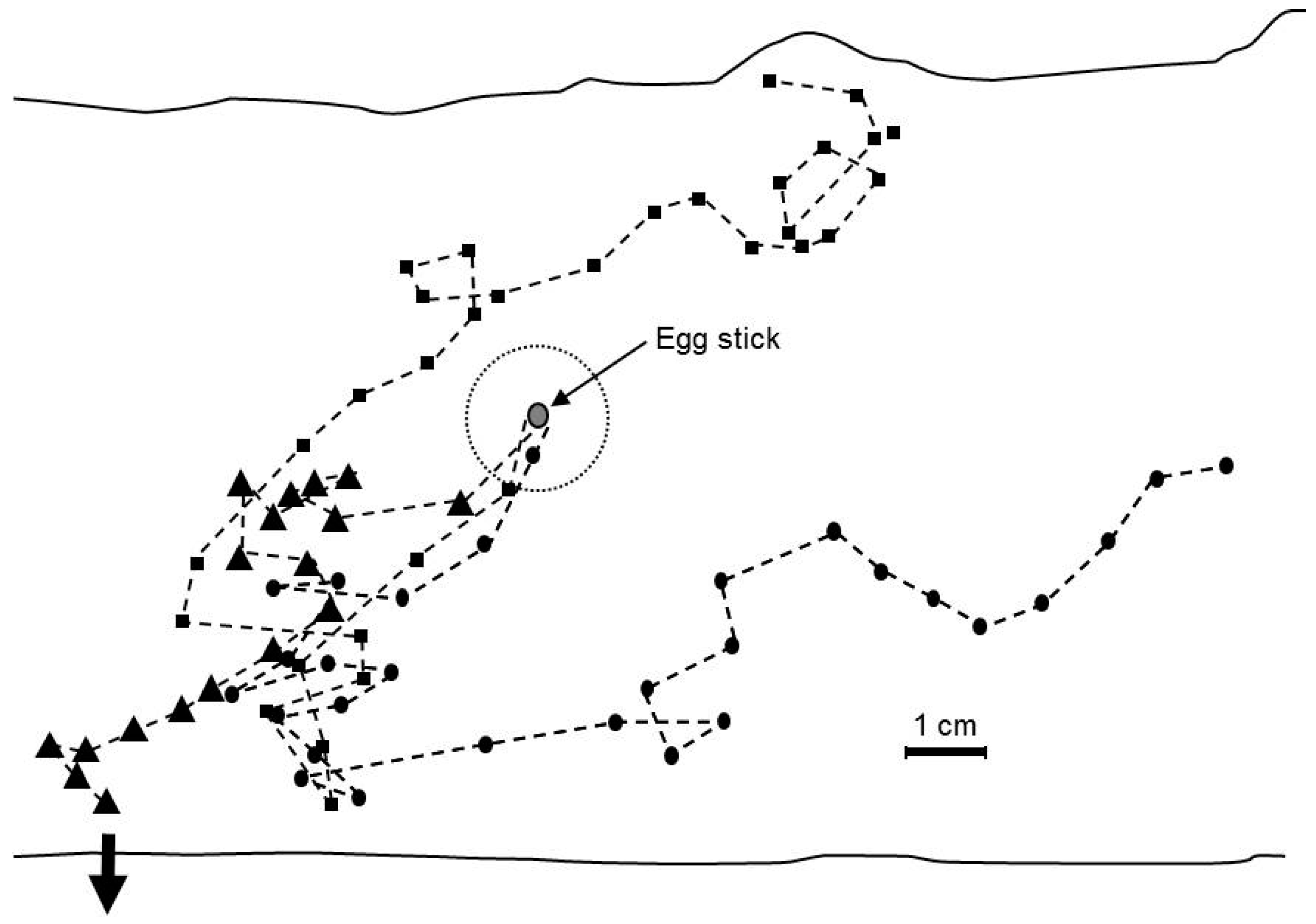 Insects 07 00059 g008 550