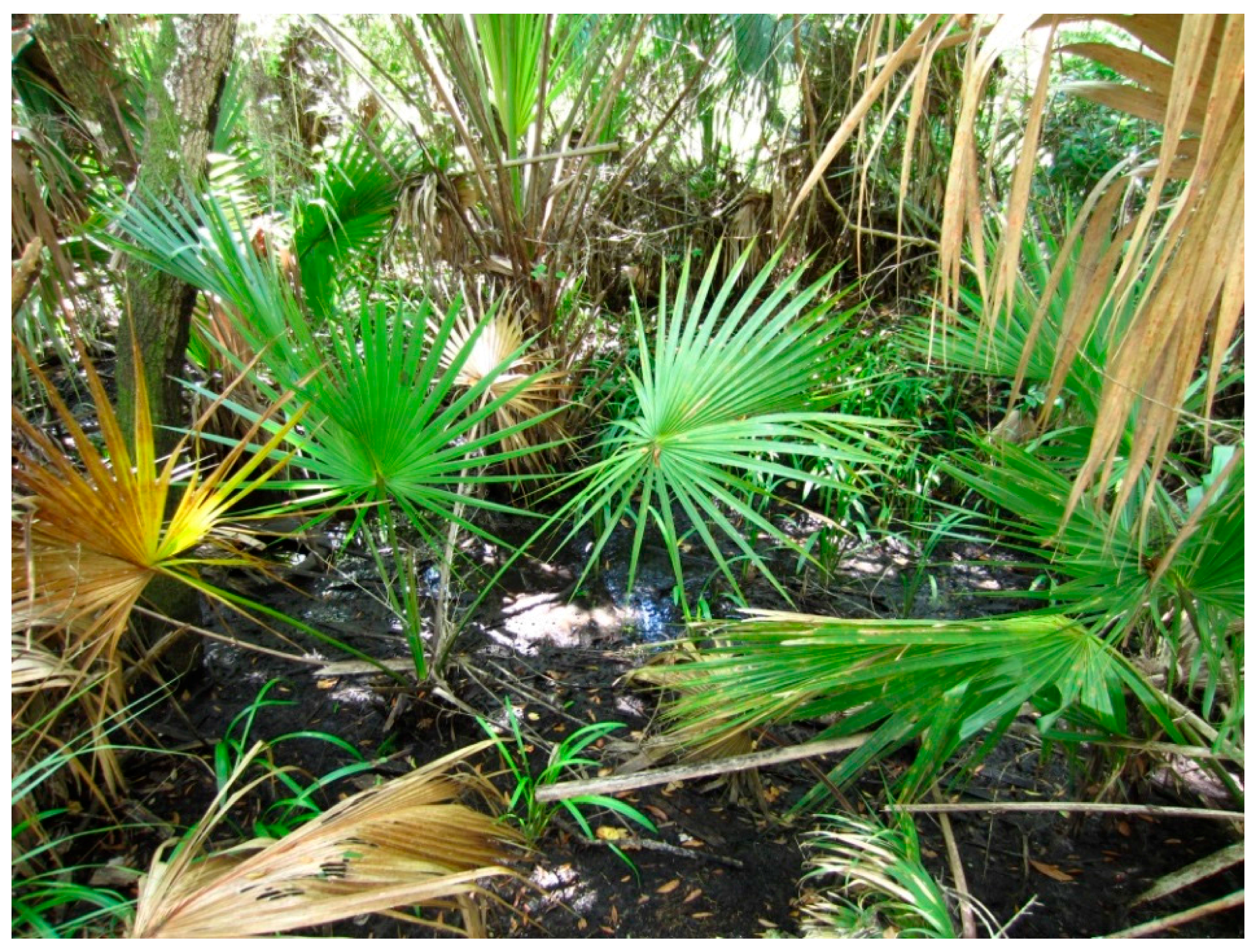 Insects 07 00065 g001 550