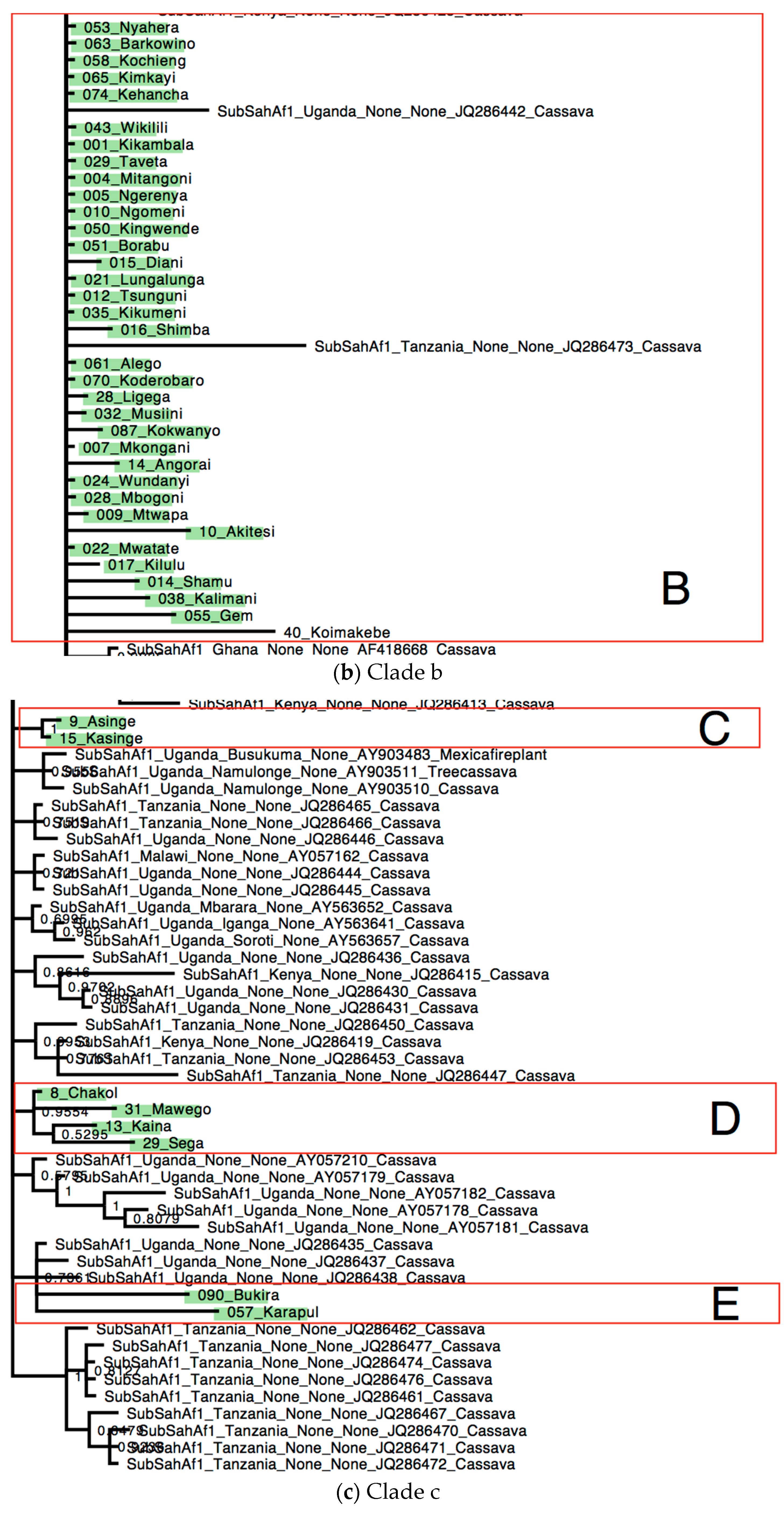Insects 08 00025 g005b