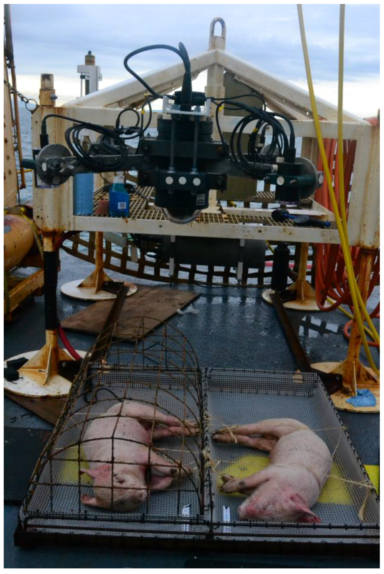 Insects 08 00033 g001 550