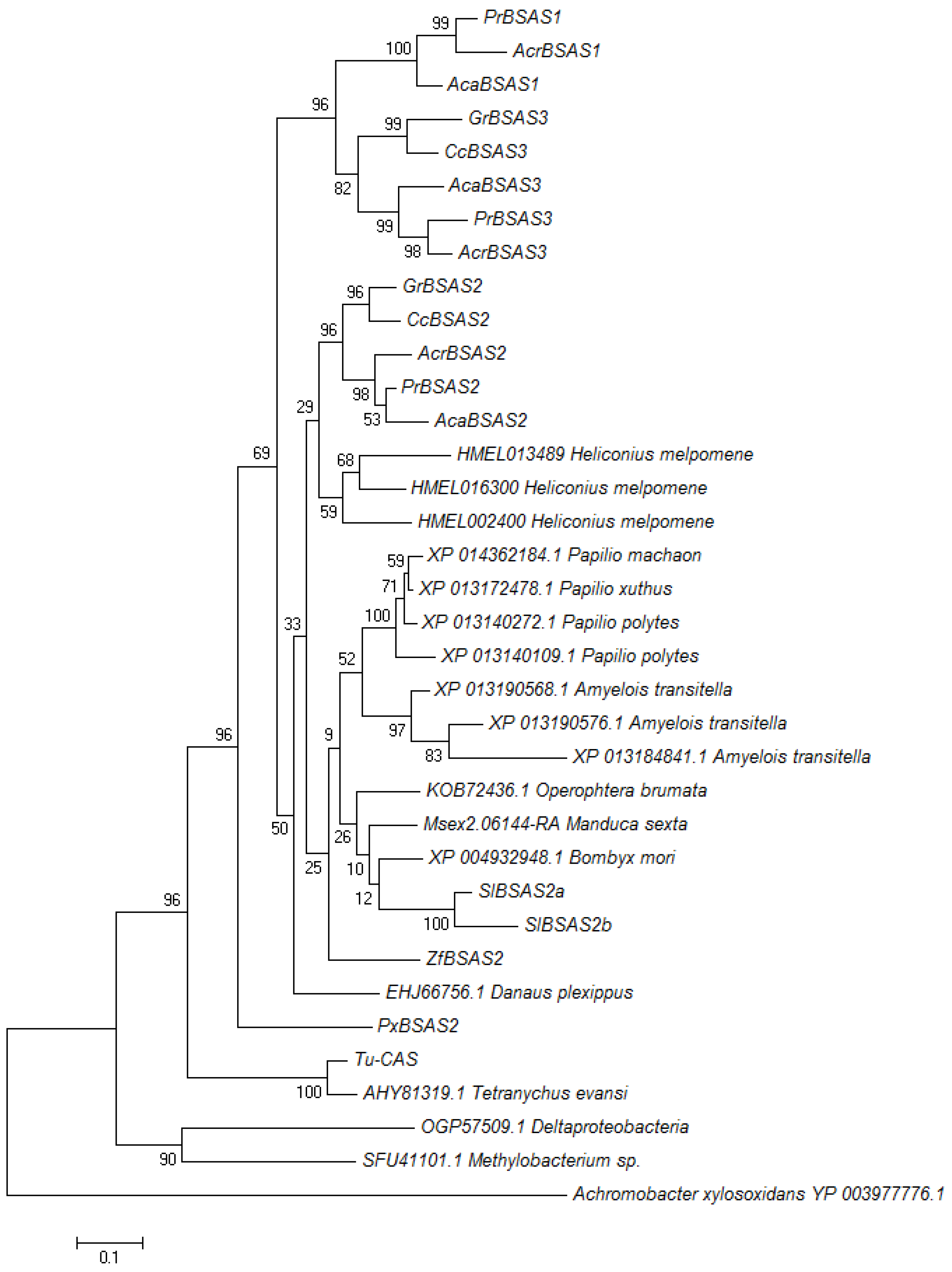 Insects 08 00062 g007