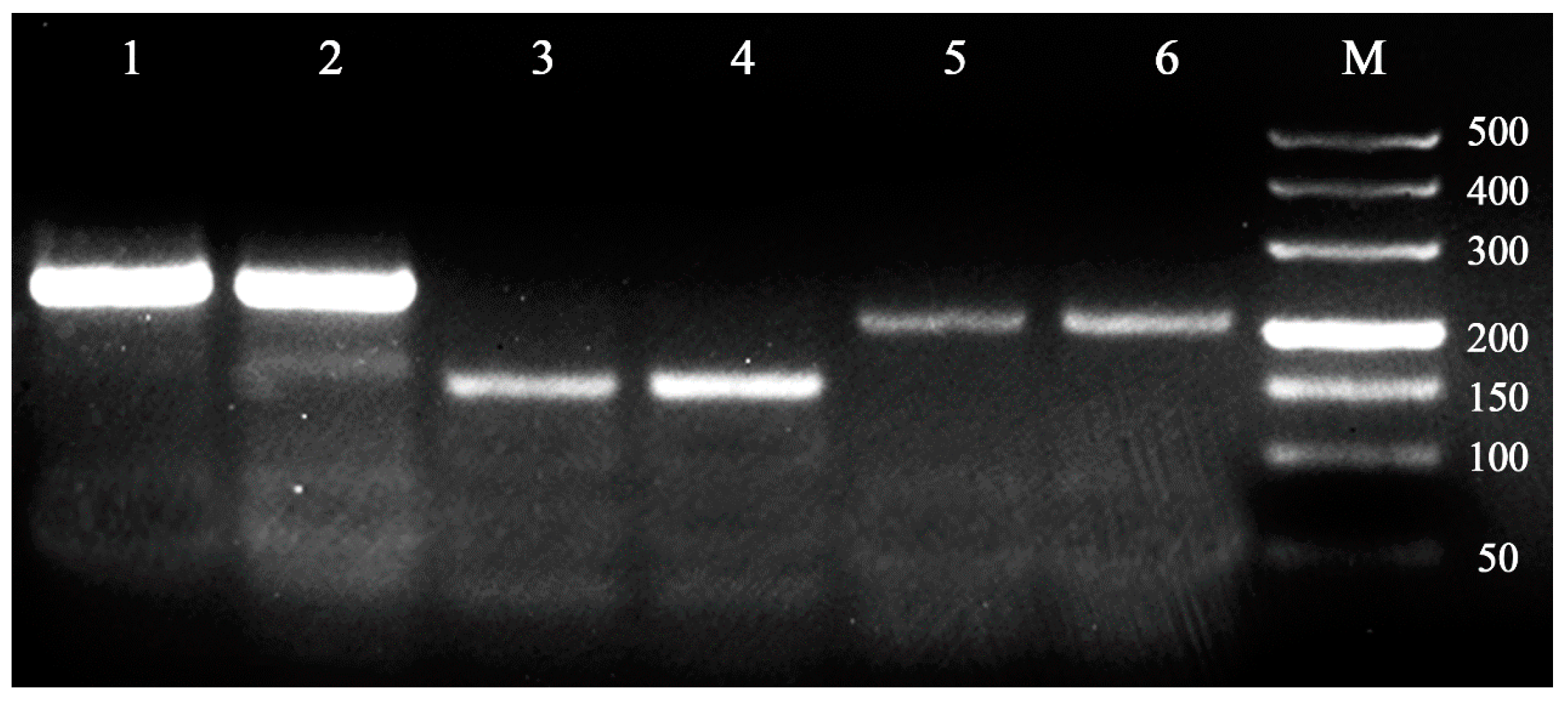 Insects 08 00063 g001 550