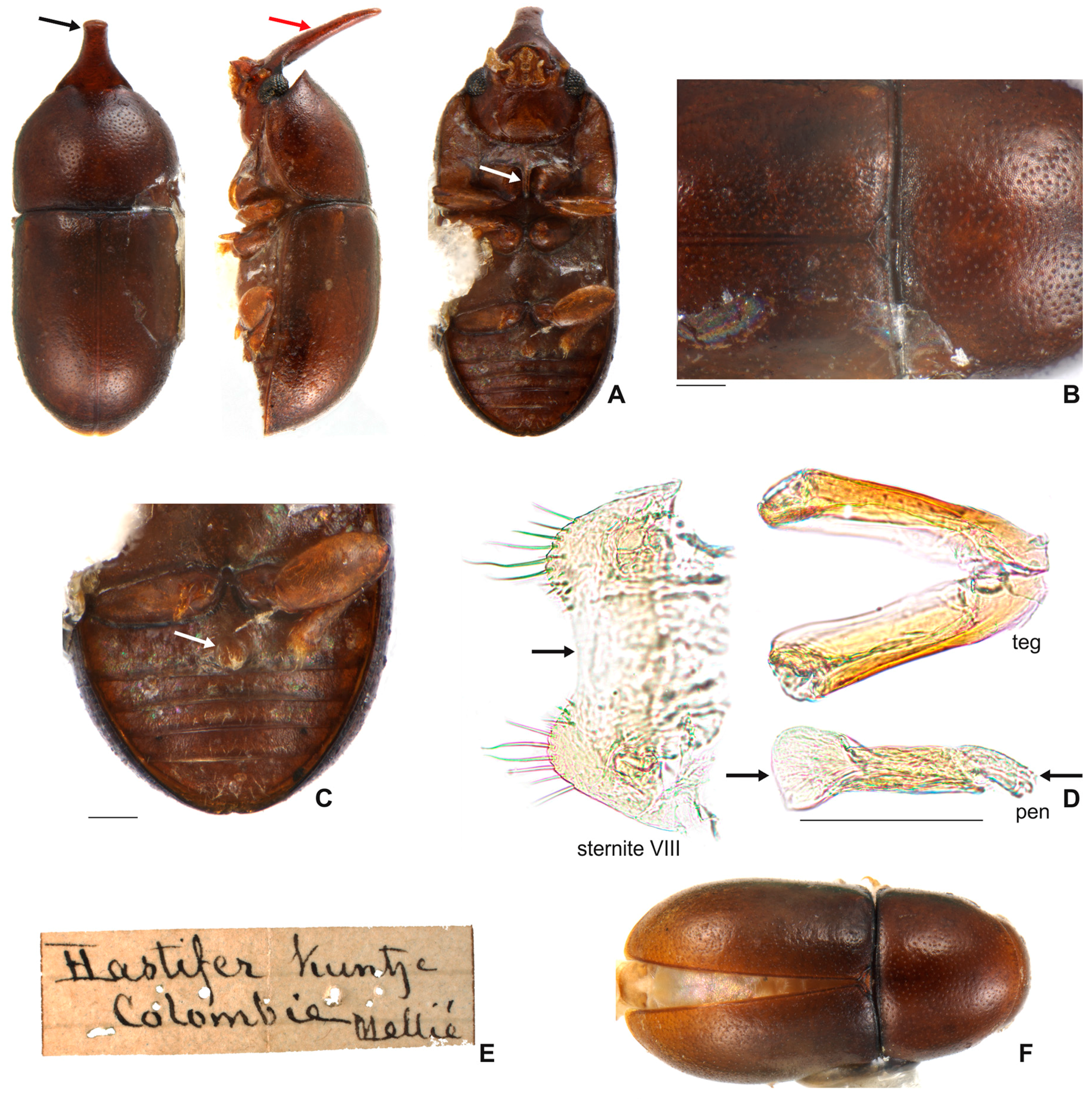 Insects 08 00070 g009