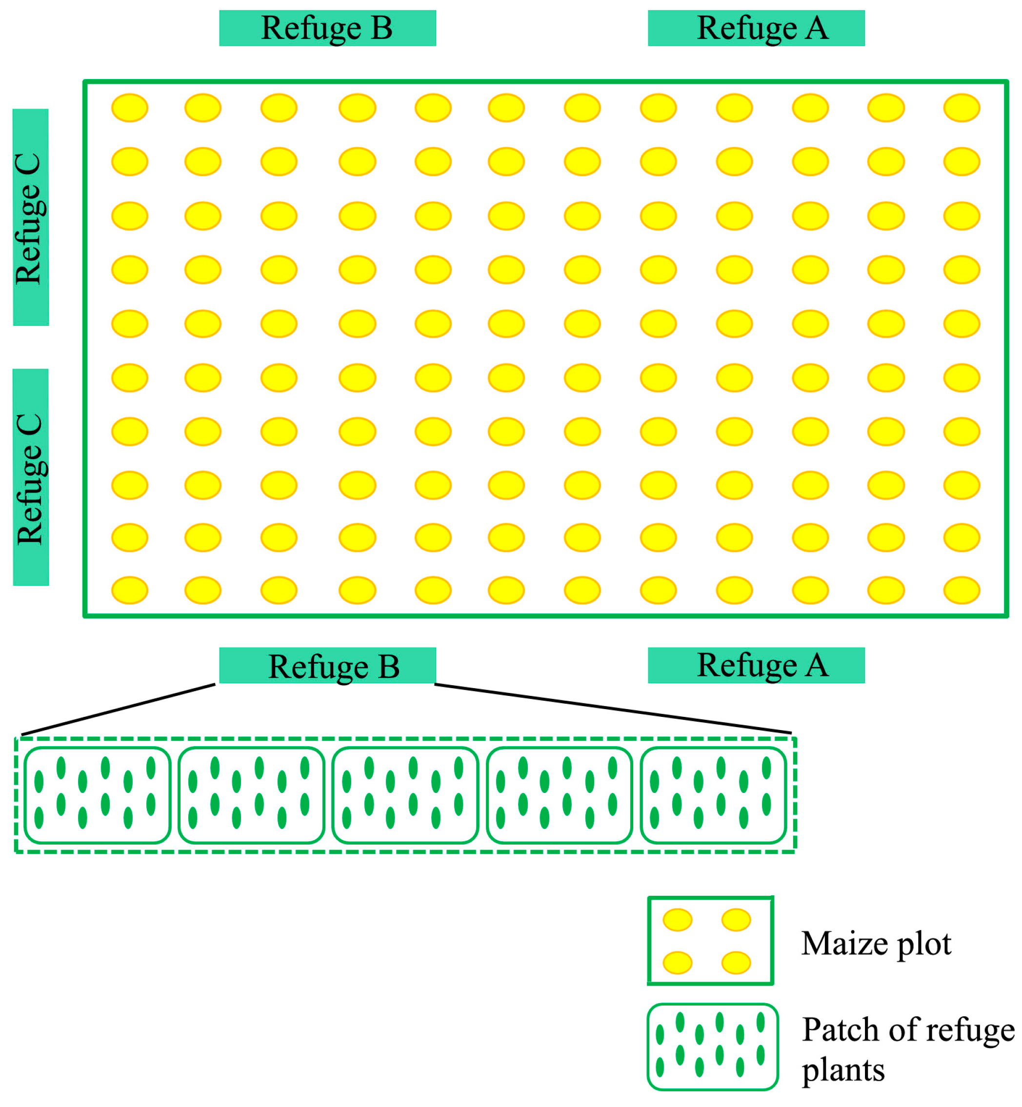 Insects 08 00071 g001