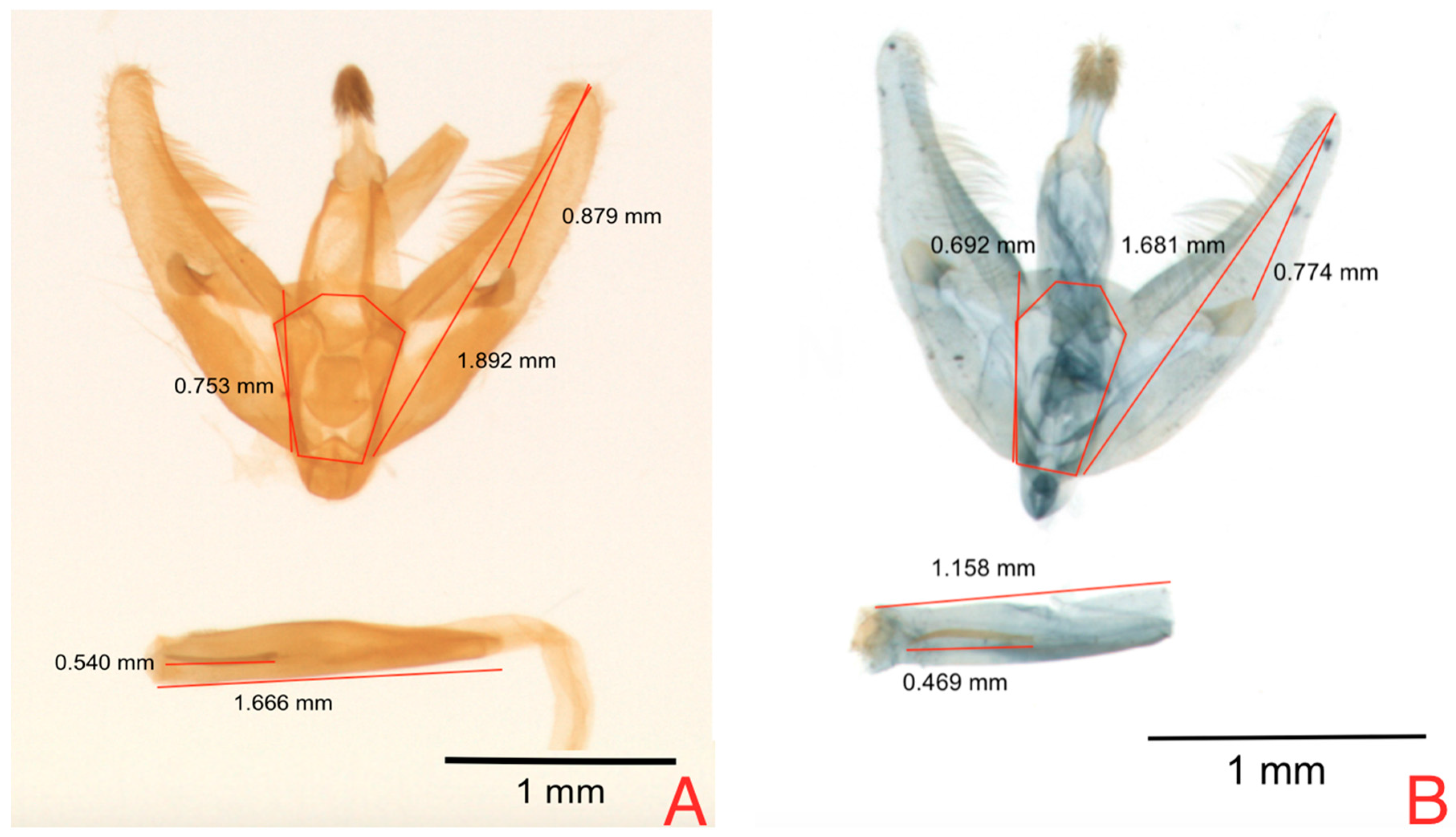 Insects 08 00091 g004 550