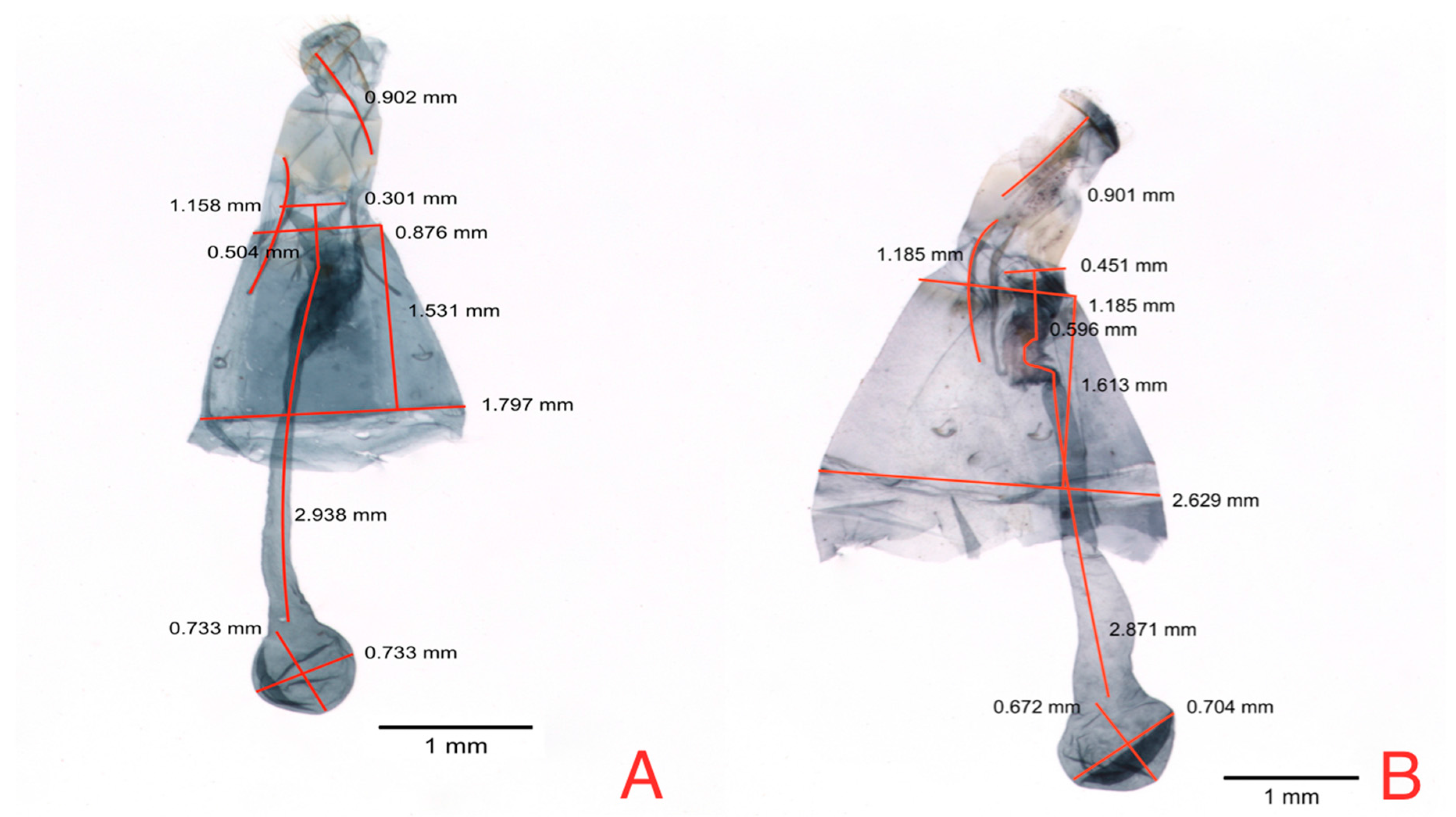 Insects 08 00091 g005 550