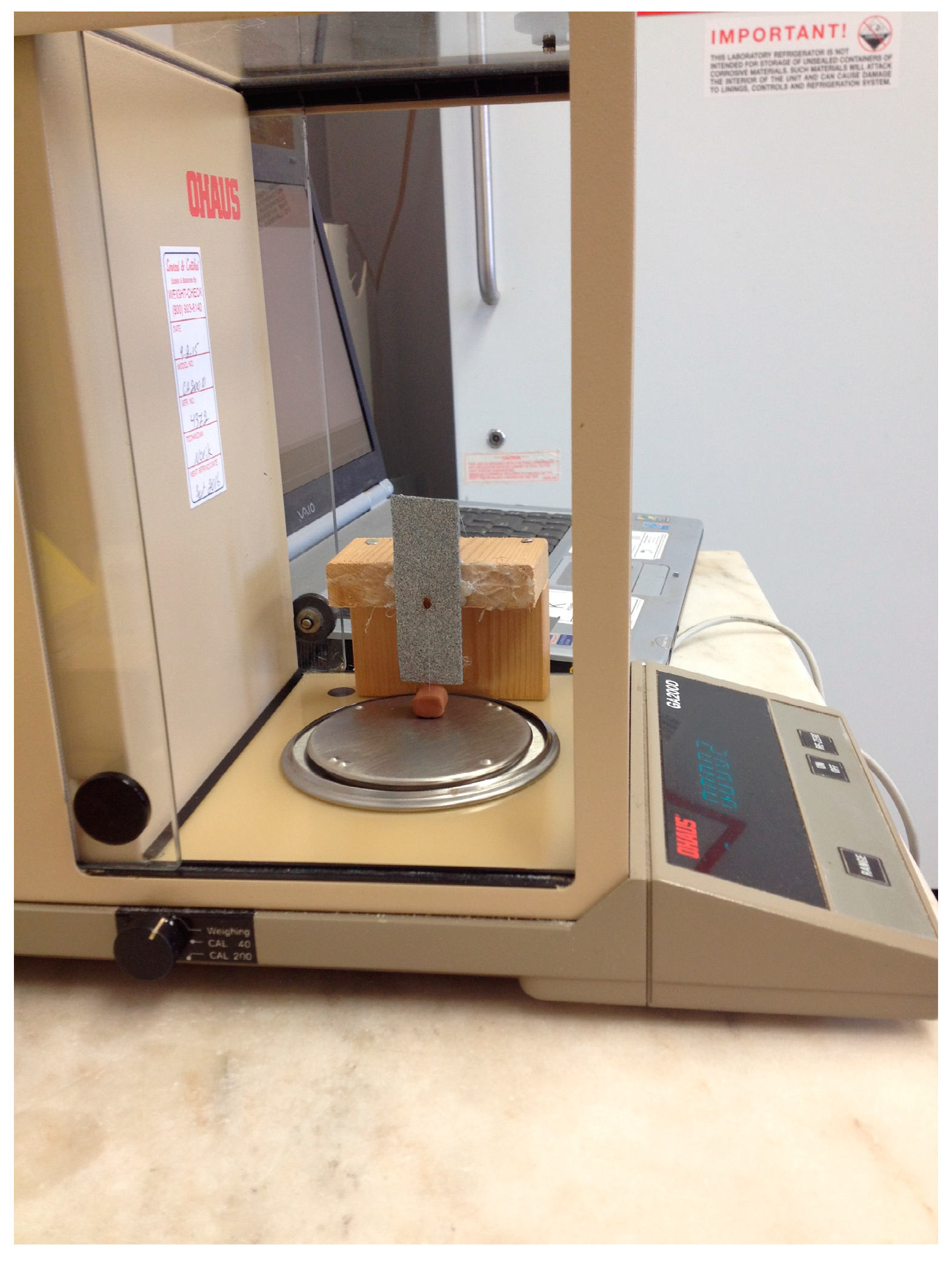 Insects 08 00094 g001