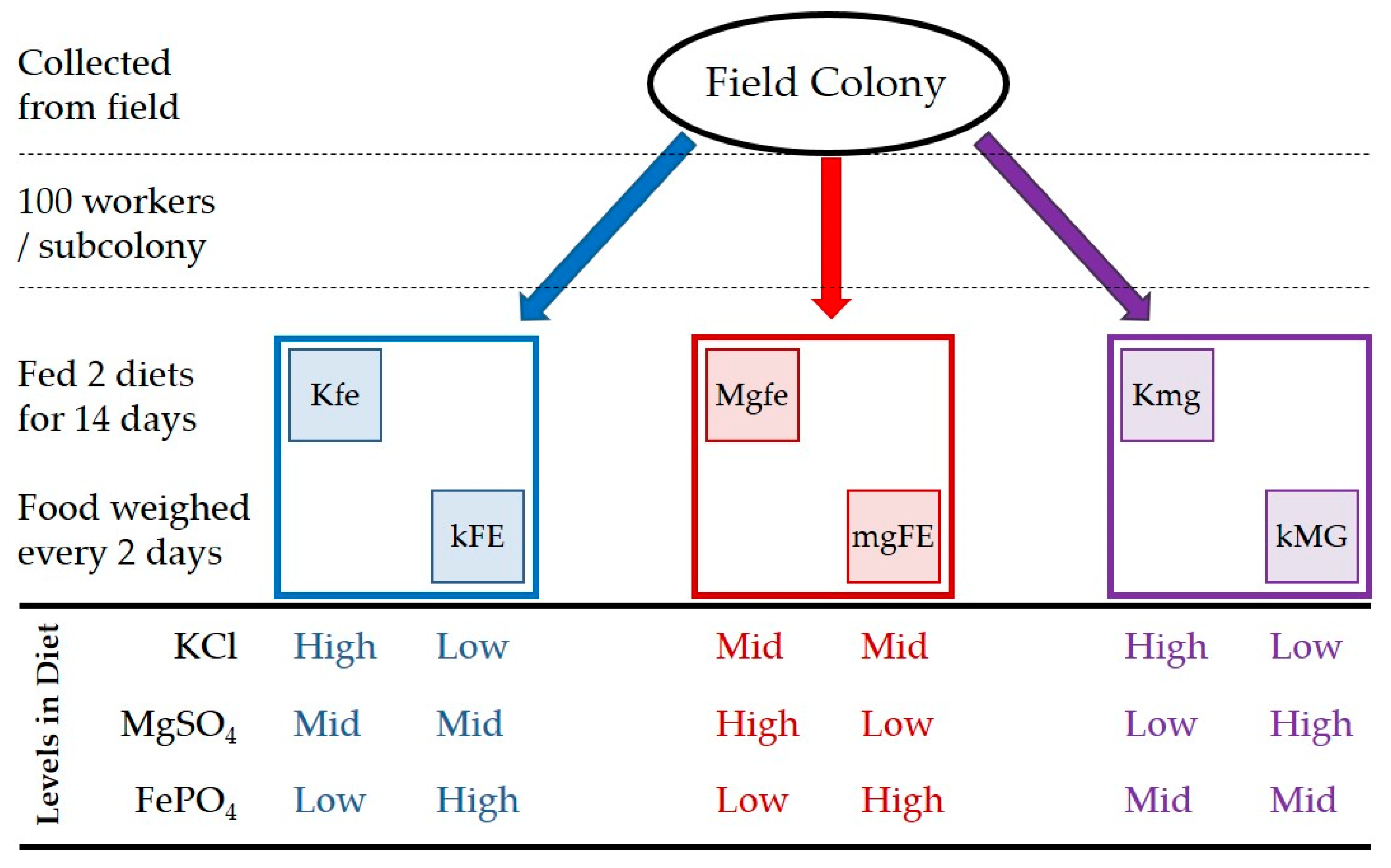 control and quality in computer and