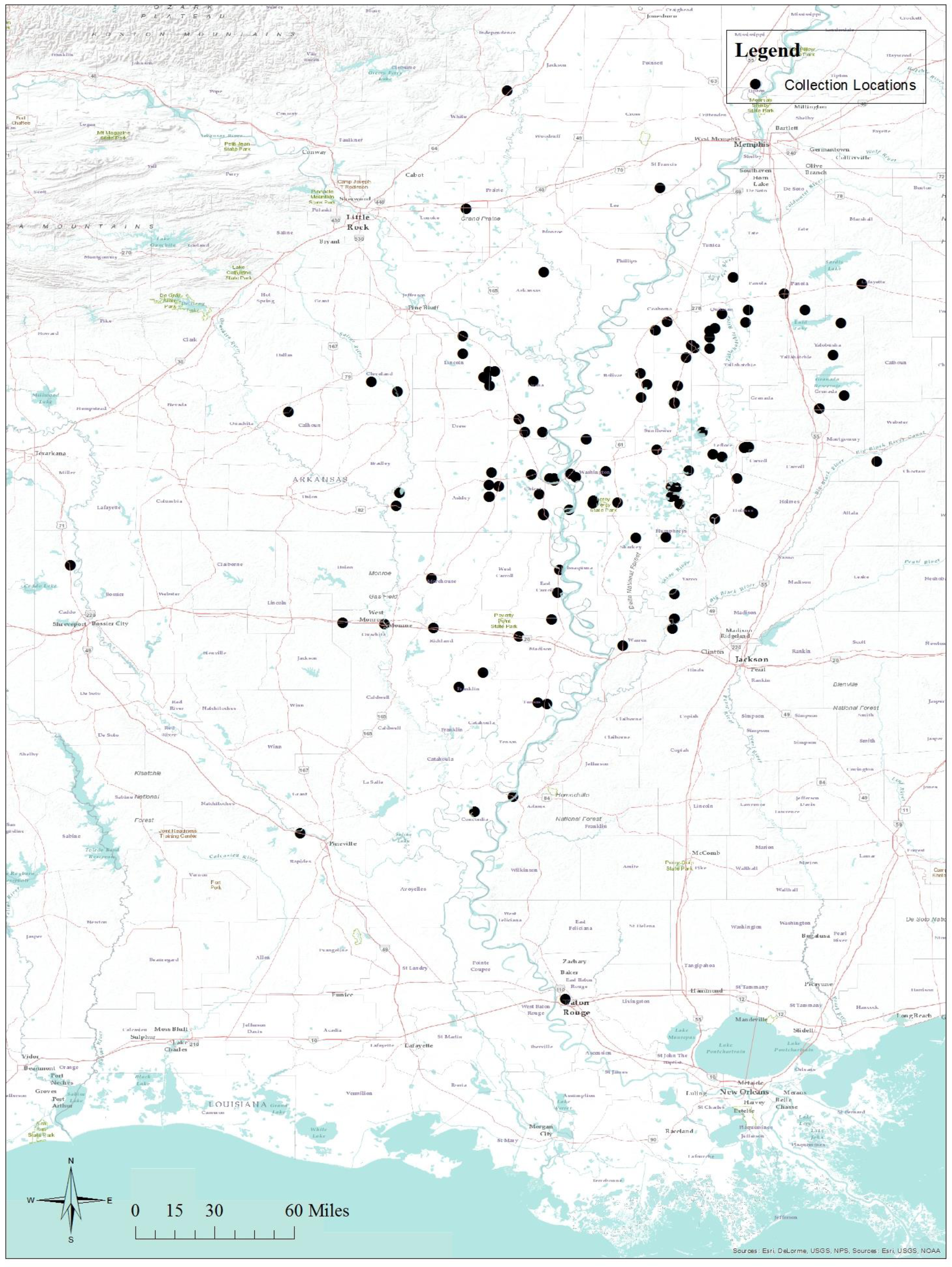 Insects 08 00109 g001 550