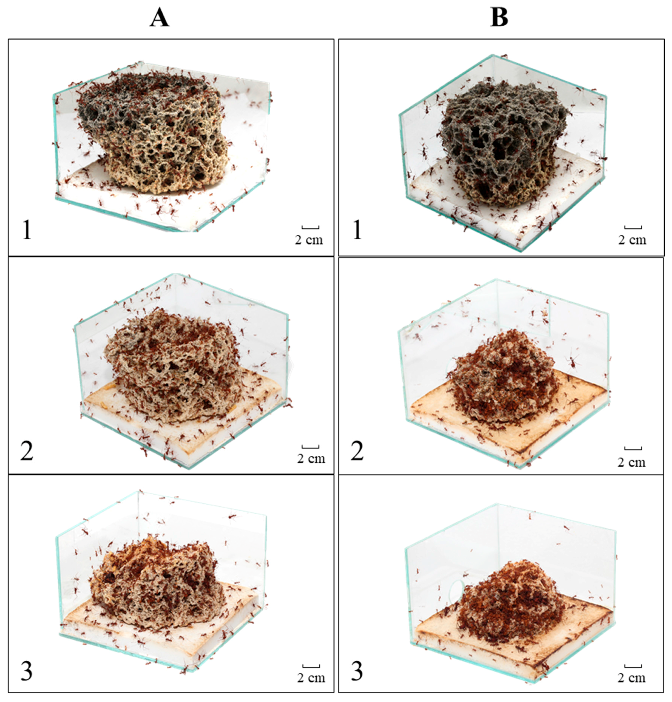 Insects 08 00126 g001 Insects 08 00126 g001