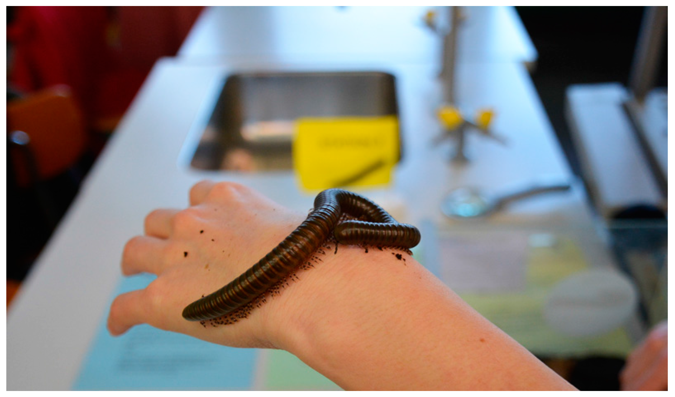 Insects 09 00003 g001 550