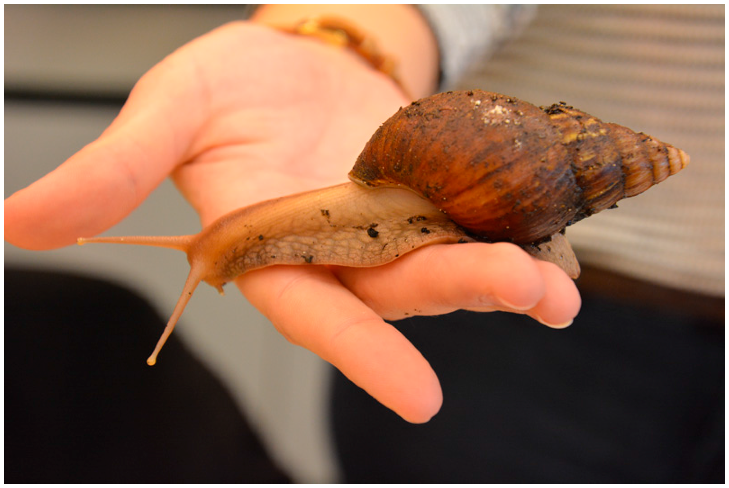 Insects 09 00003 g003 550