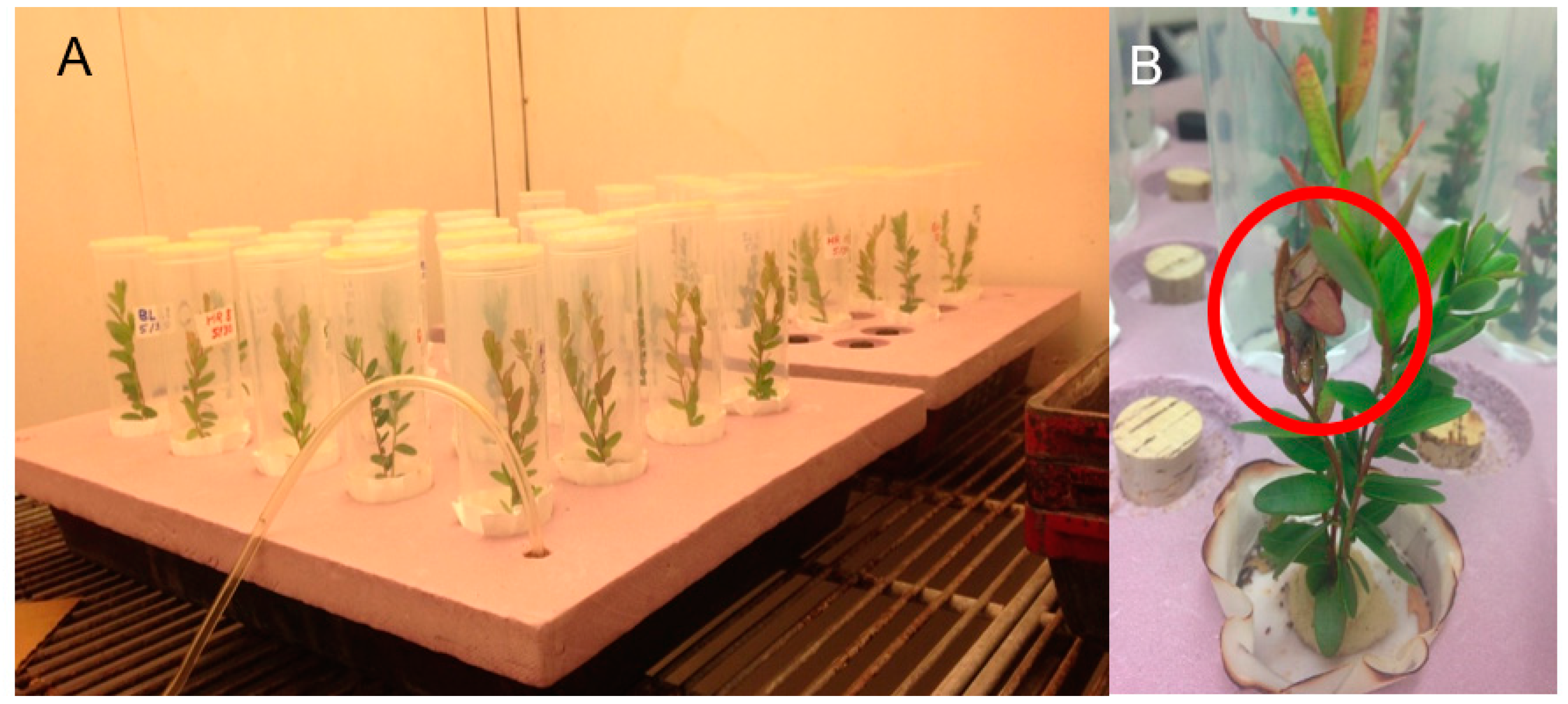 Insects 09 00004 g001 550