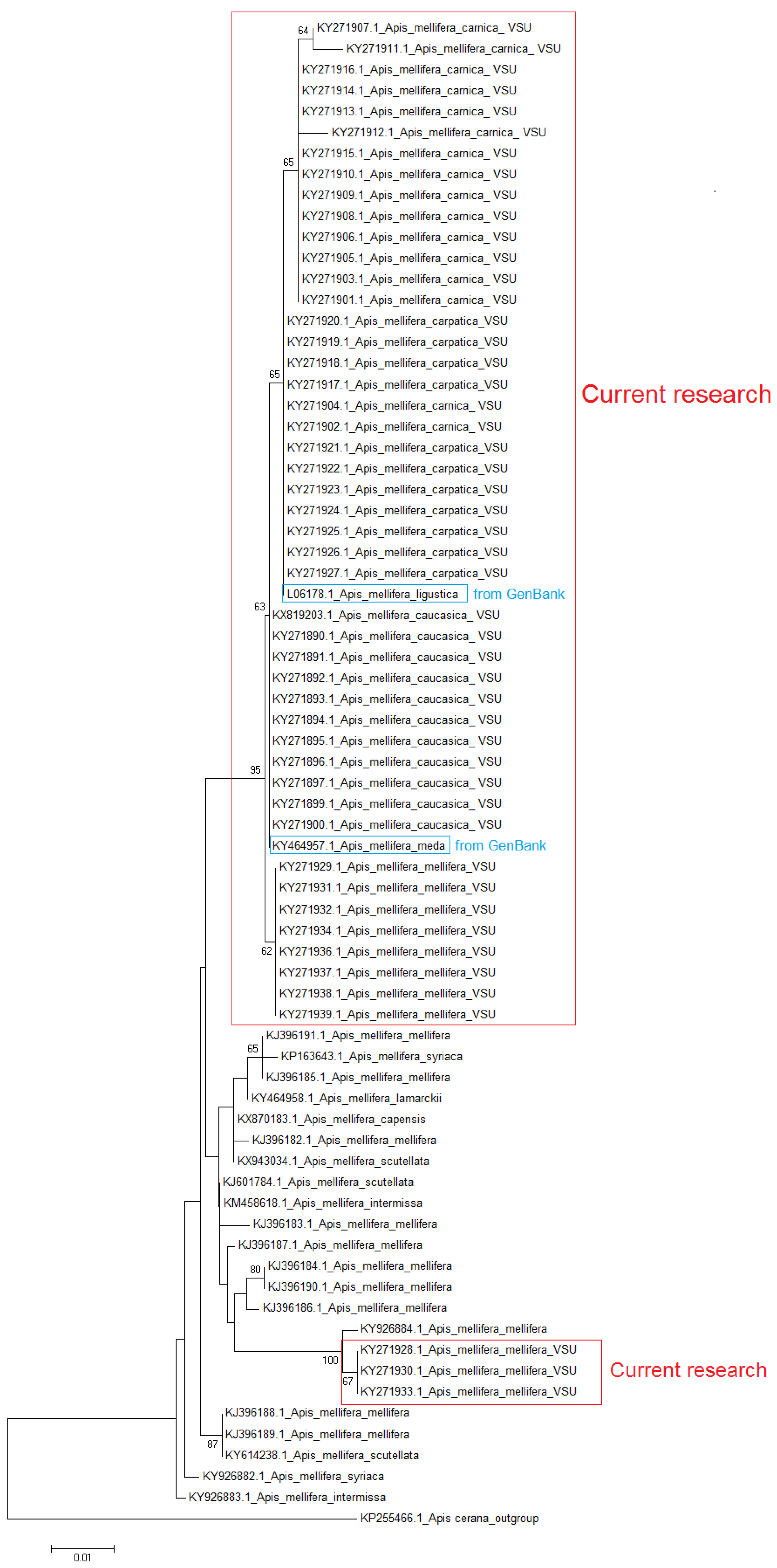 Insects 09 00010 g001