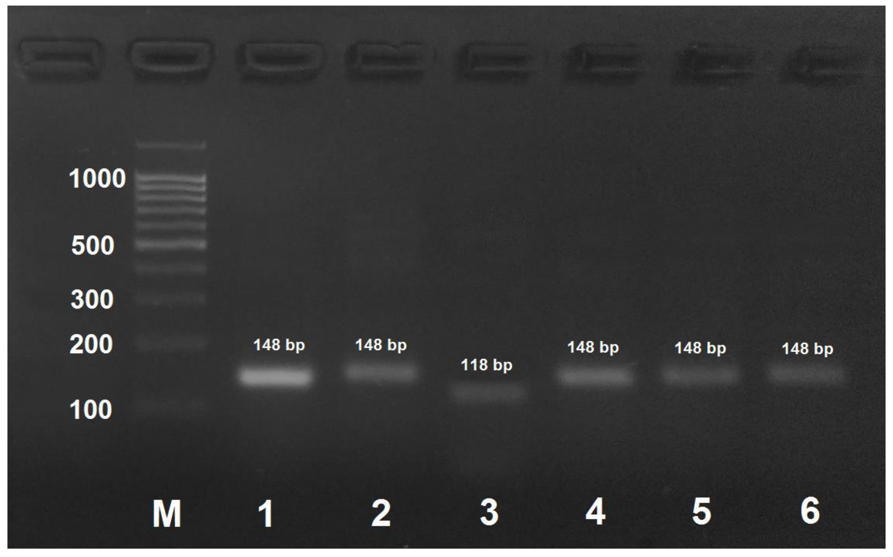Insects 09 00010 g003
