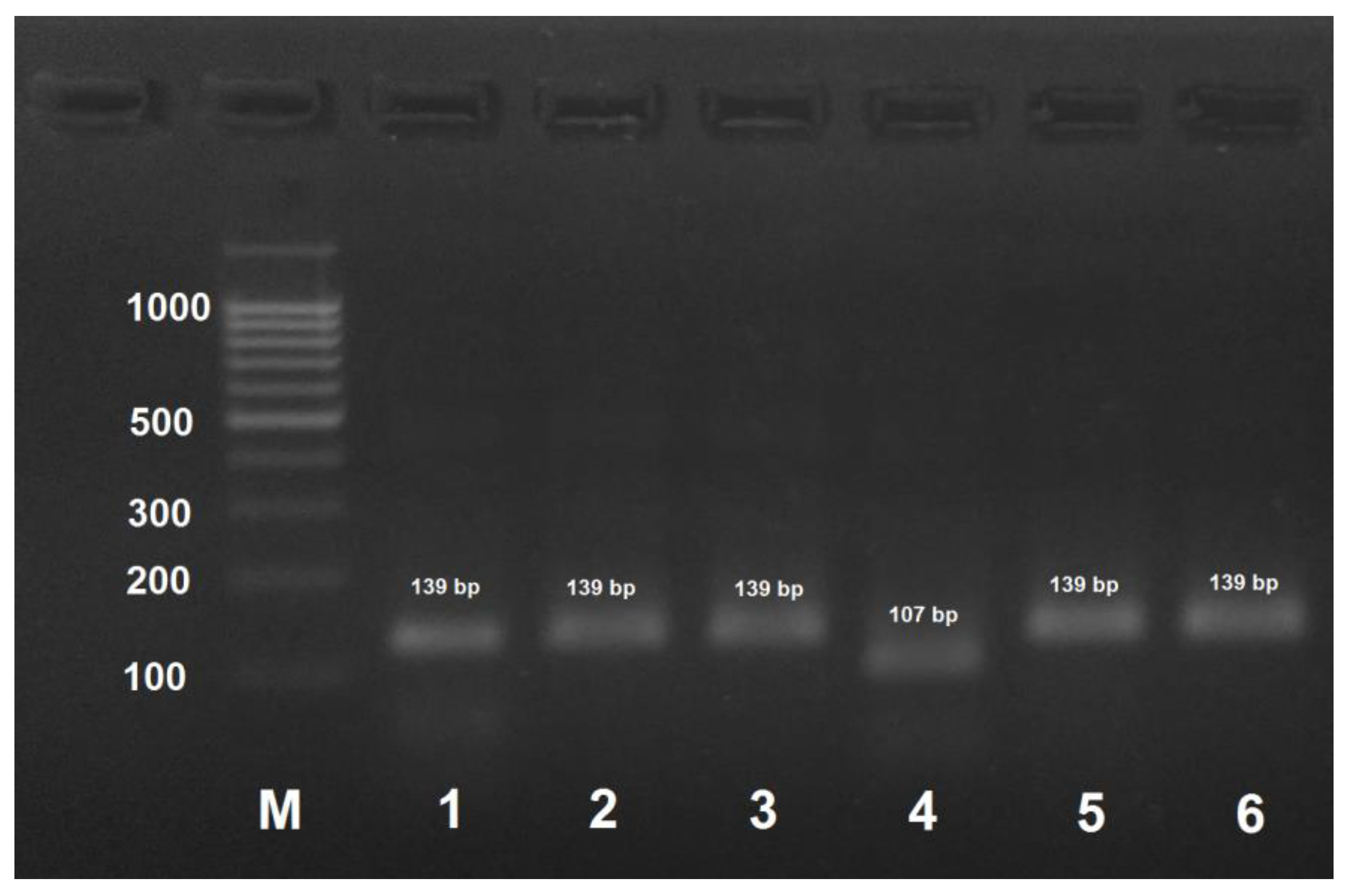 Insects 09 00010 g004