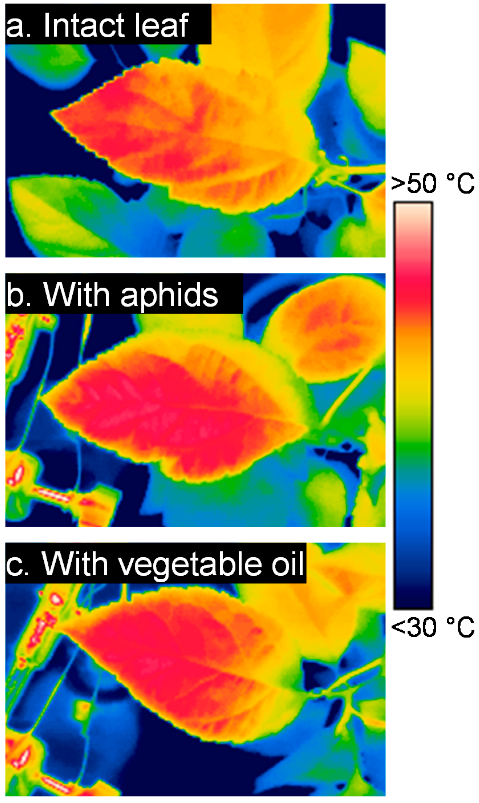 Insects 09 00034 g001 Insects 09 00034 g001