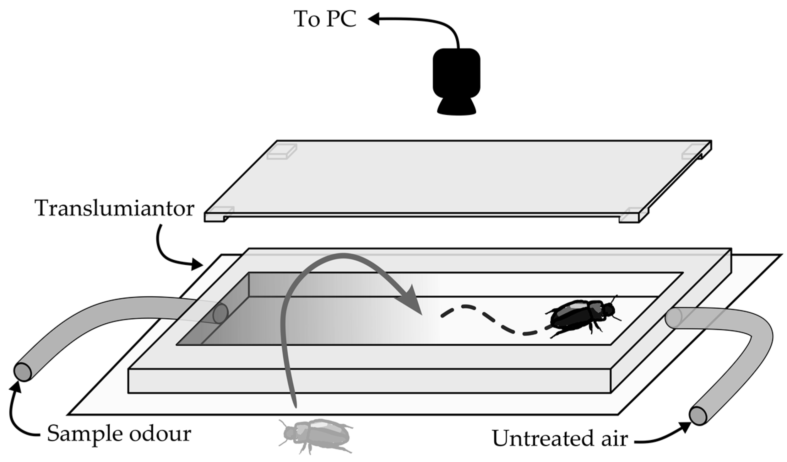 Insects 09 00035 g001 550
