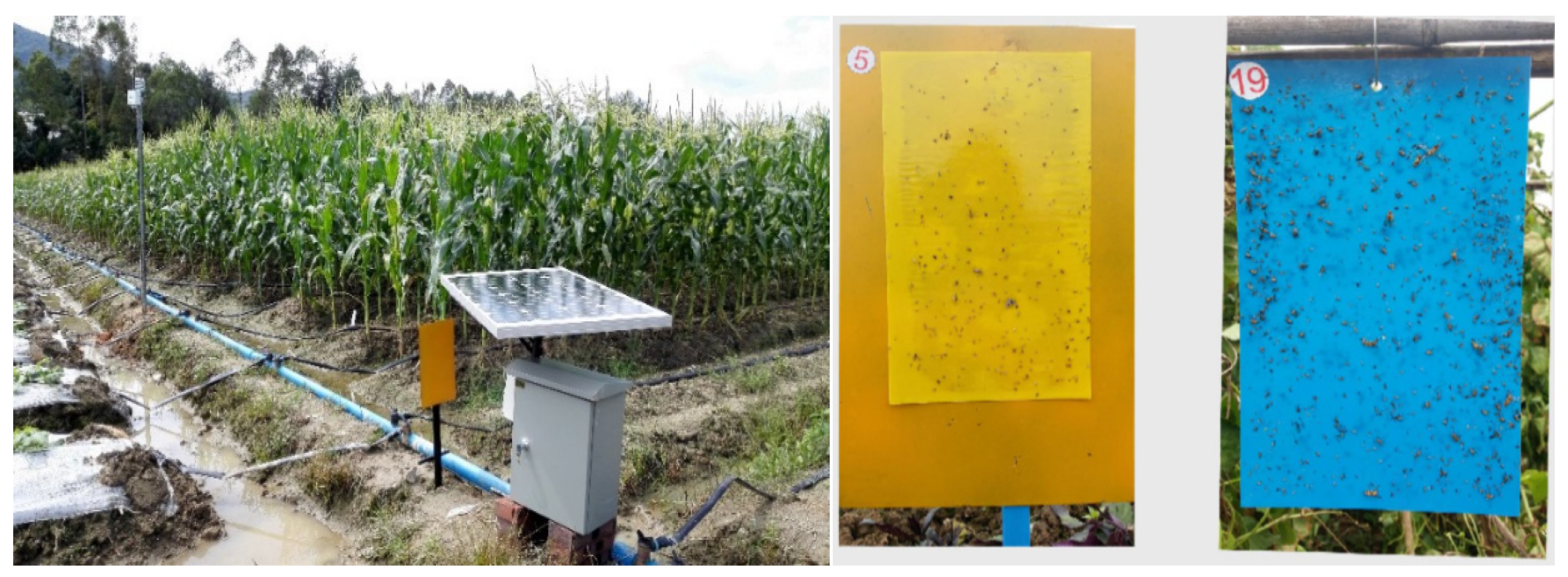 Insects 09 00066 g006 Insects 09 00066 g006