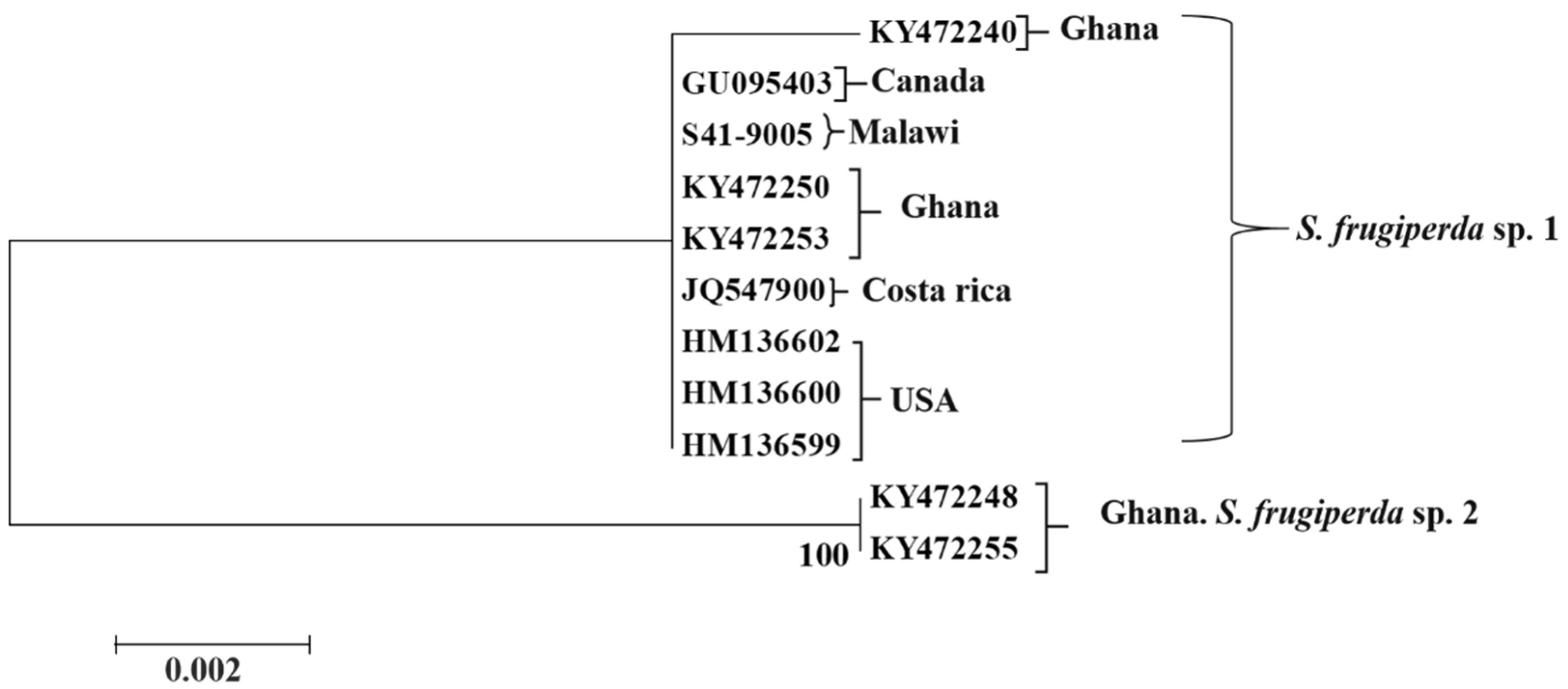 Insects 09 00074 g005 Insects 09 00074 g005