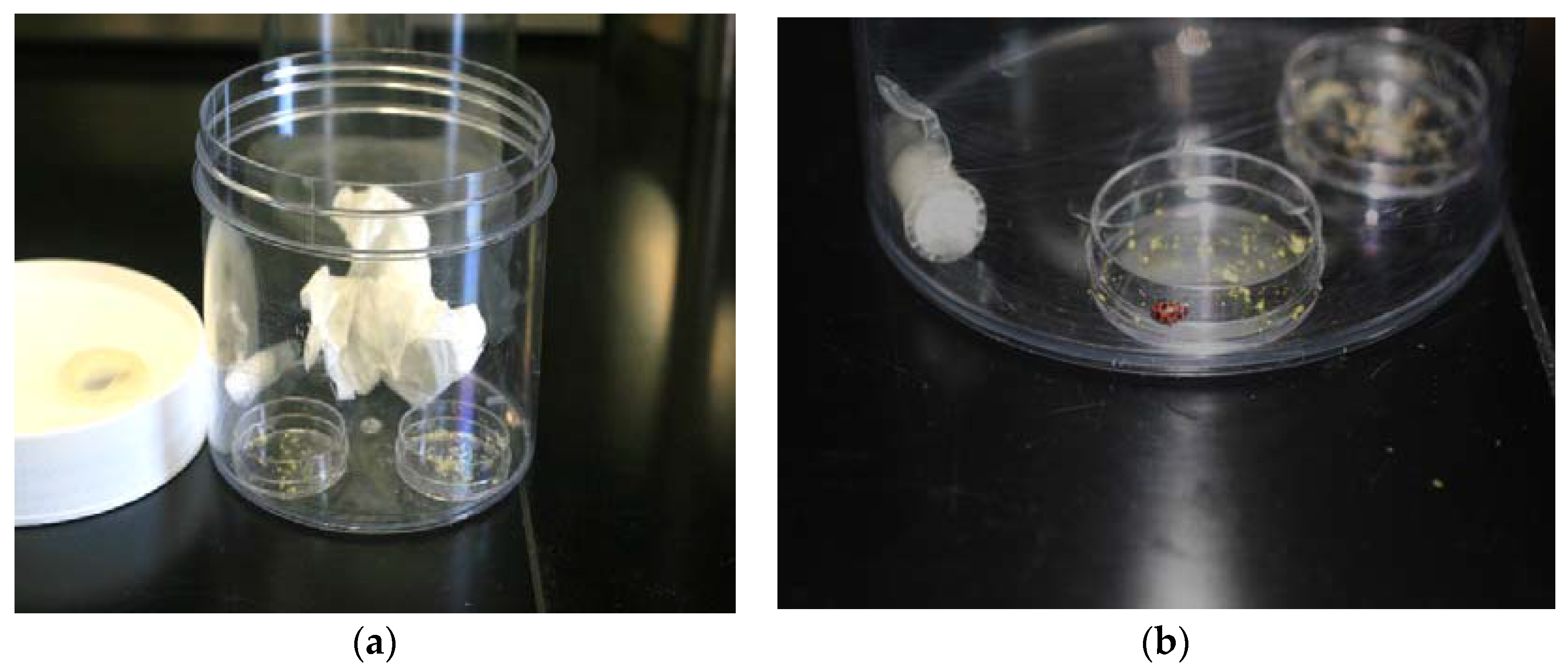 Insects 09 00077 g001 550