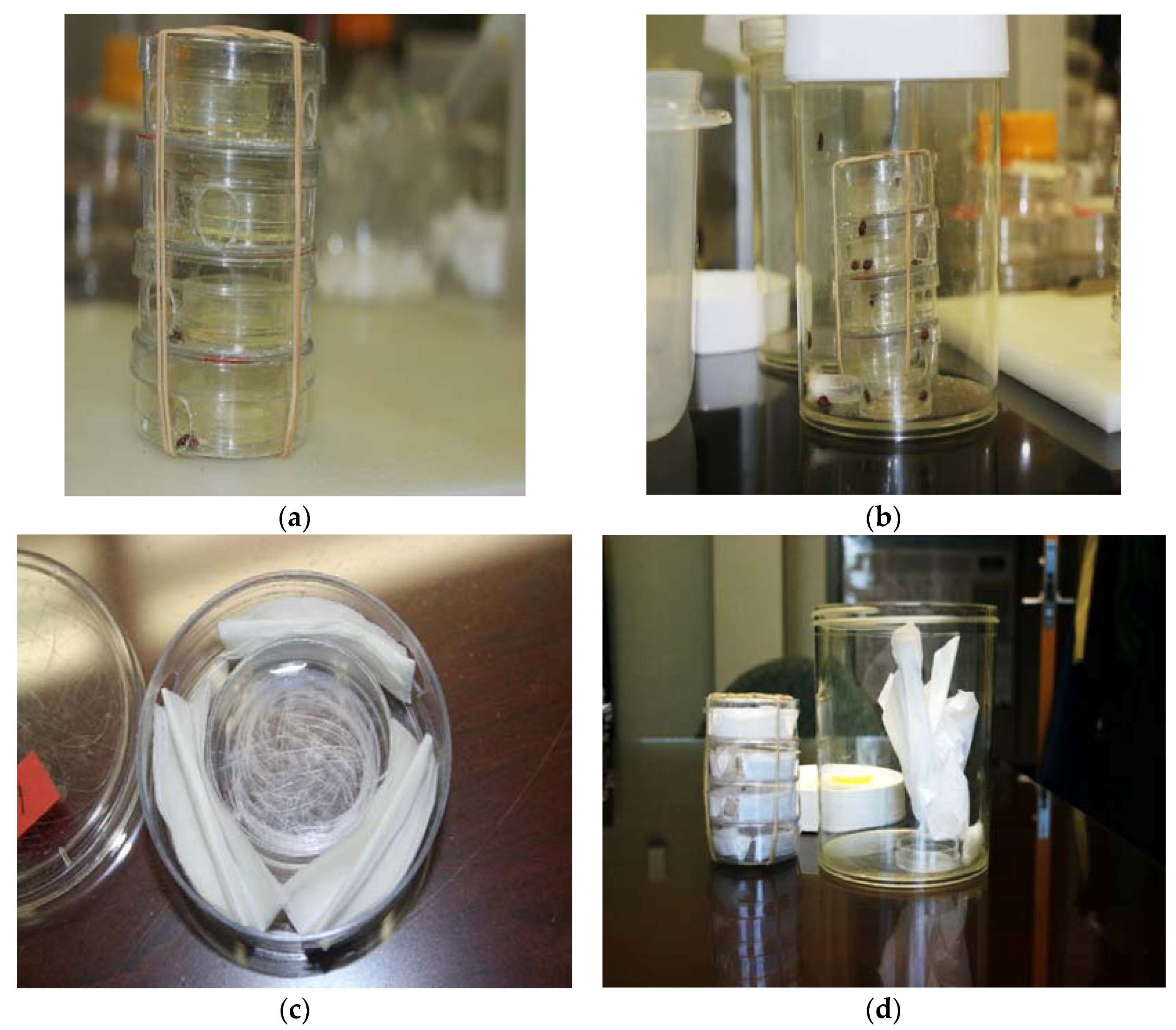 Insects 09 00077 g002 550