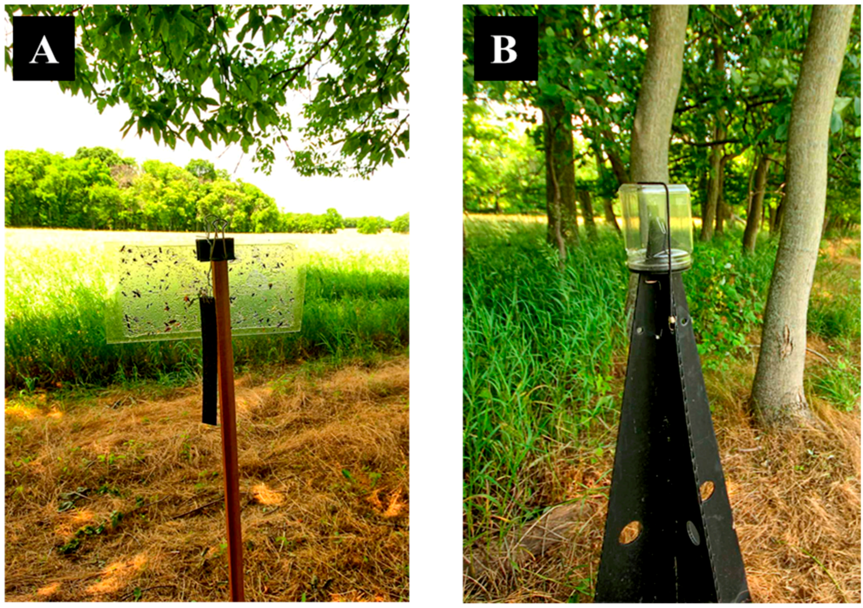 Insects 09 00082 g001 Insects 09 00082 g001