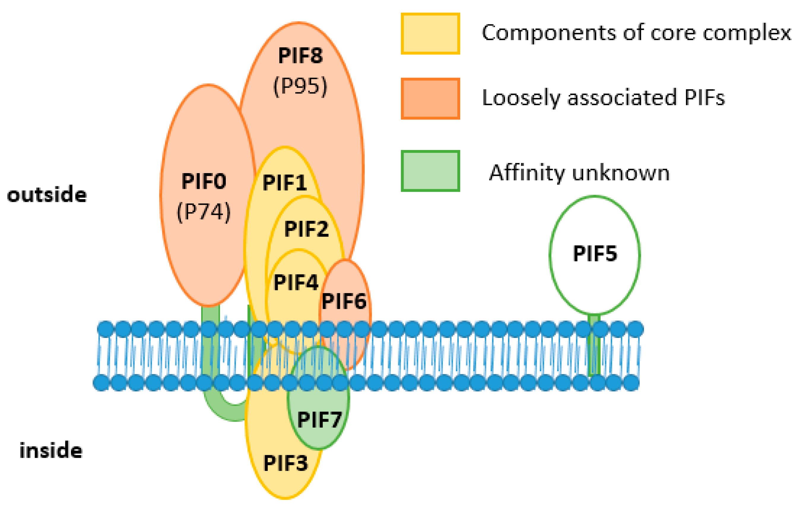 Insects 09 00084 g005 Insects 09 00084 g005